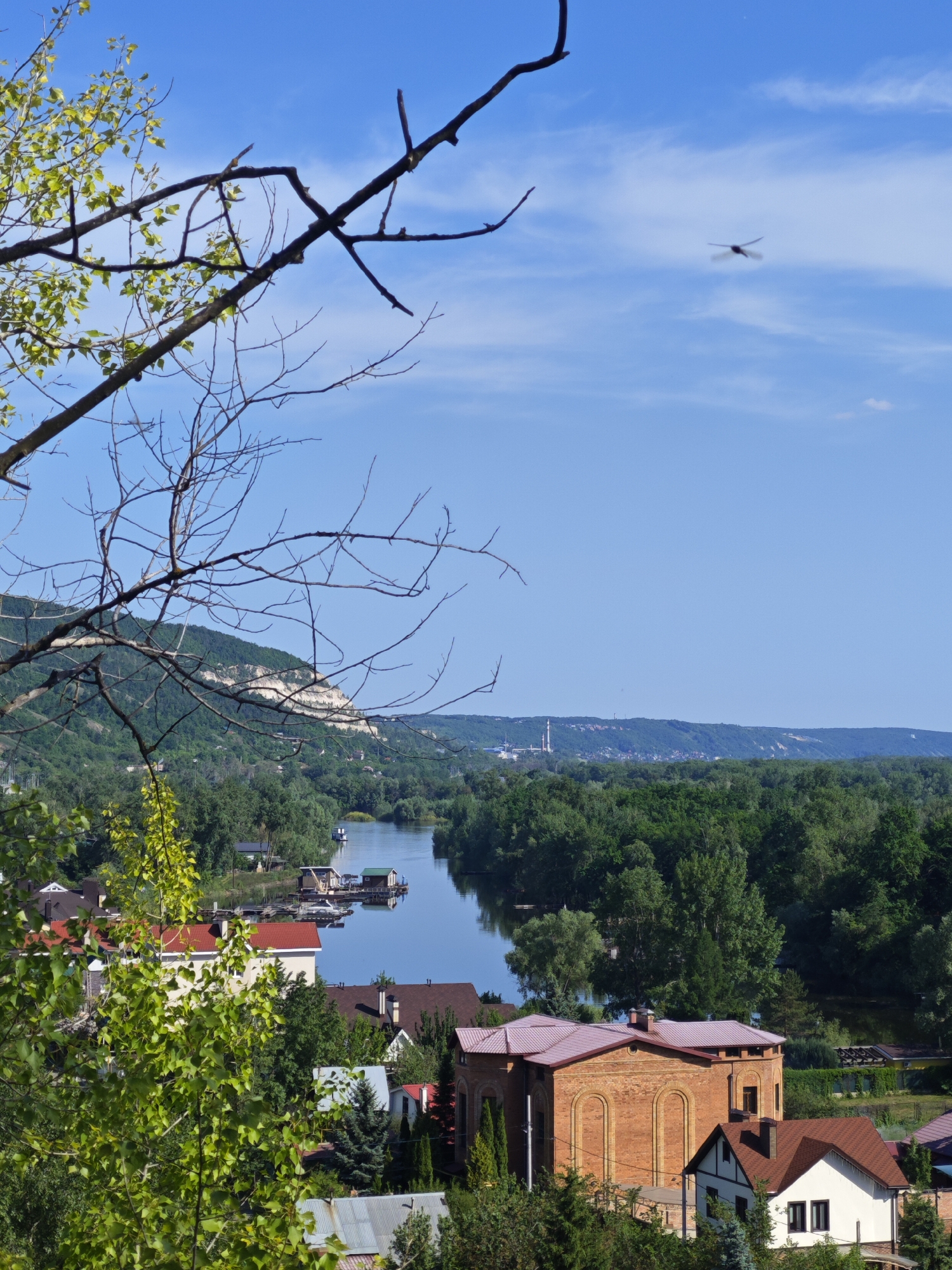 The image depicts a landscape overlooking the Akhtuba River in the city of Volzhskiy, Russia. The view encompasses a mix of natural and man-made elements. In the foreground, there are residential buildings with red-tiled roofs, surrounded by lush greenery. The Akhtuba River meanders through a valley, flanked by dense forests. A distinctive chalk mountain ridge can be seen in the background, indicating the natural geography of the area. A dragonfly is visible in the sky. A factory is visible near the horizon. Bare branches of a tree are prominent in the foreground.
