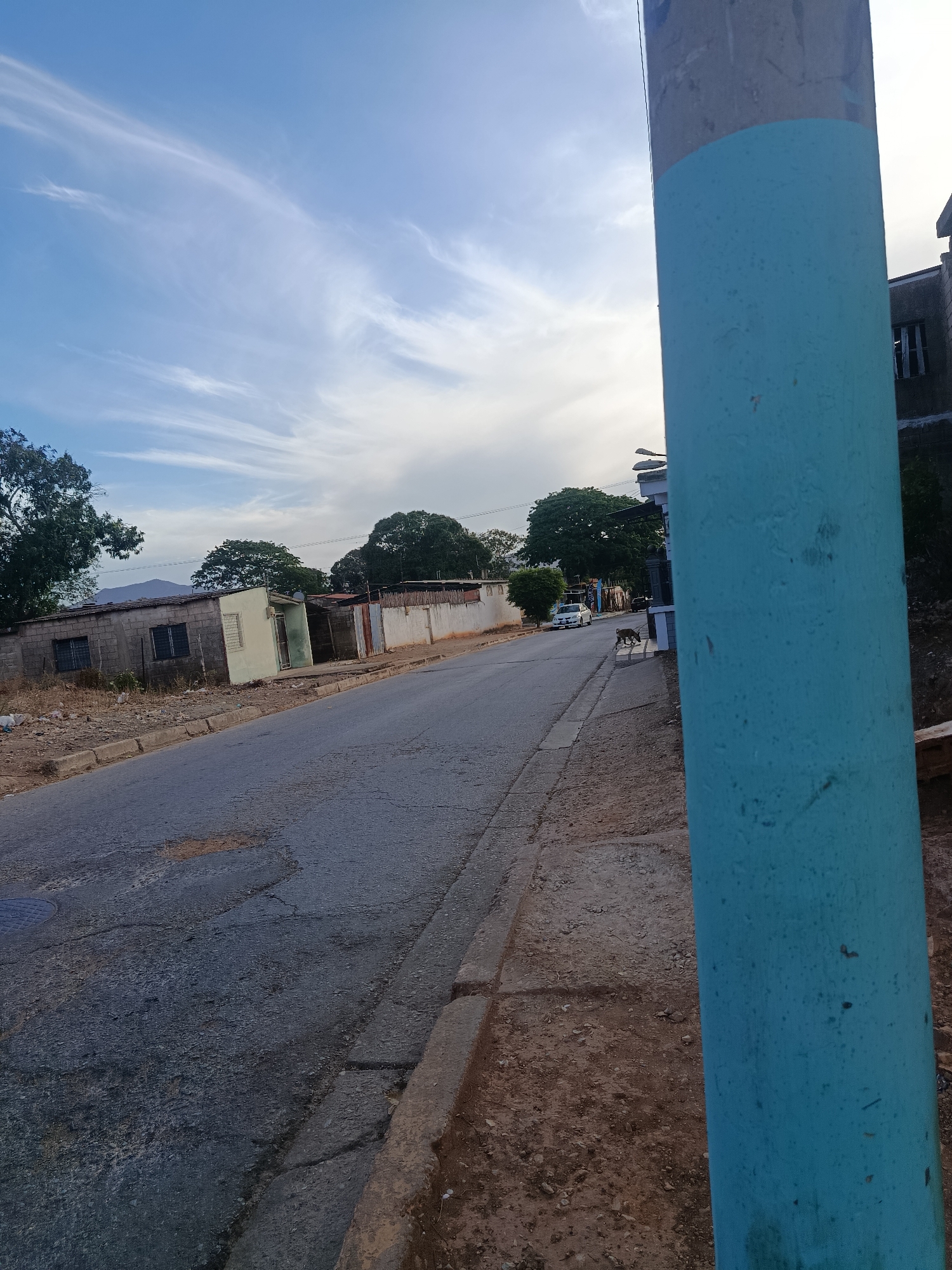 The image presents a street scene in what appears to be a residential area. The photograph is taken from a close-up perspective, focusing on a light blue pole in the foreground on the right-hand side. This pole dominates the frame and obscures part of the scene. The street extends into the distance, showing a cracked asphalt road and a sidewalk on the right. Buildings and houses line the left side of the street, characterized by a mix of materials including concrete blocks and fencing. Some are in a state of disrepair.
A white car is visible further down the street. A dog is also present near a building on the right side. The sky is partly cloudy, suggesting either early morning or late afternoon. The overall impression is one of a quiet, somewhat rundown neighborhood. There is no explicit reference to Juan Griego, Venezuela, or any direct indicators that place the image there. This identification is made by inference, based on information available from external sources.