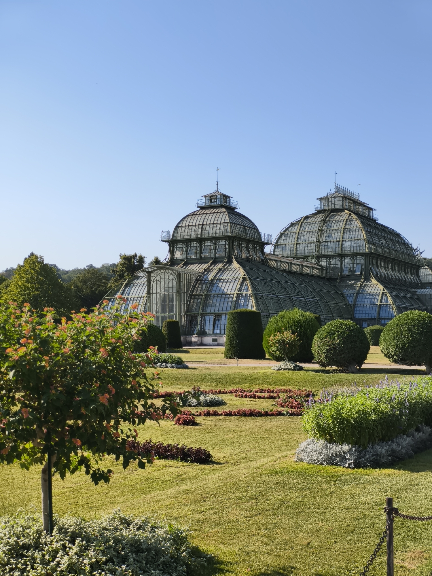 The image depicts the Schönbrunn Palace's Palm House (Palmenhaus), a large Victorian greenhouse located in Vienna, Austria. The structure is characterized by its impressive glass and iron construction, featuring multiple domes and arched windows. In the foreground, a meticulously maintained garden with lush green lawns, ornamental flower beds, and sculpted bushes creates a vibrant setting. A tree with small, orange flowers stands to the left, and a chain fence is visible on the right. The sky is clear and blue, suggesting a sunny day. No people are visible in the scene.