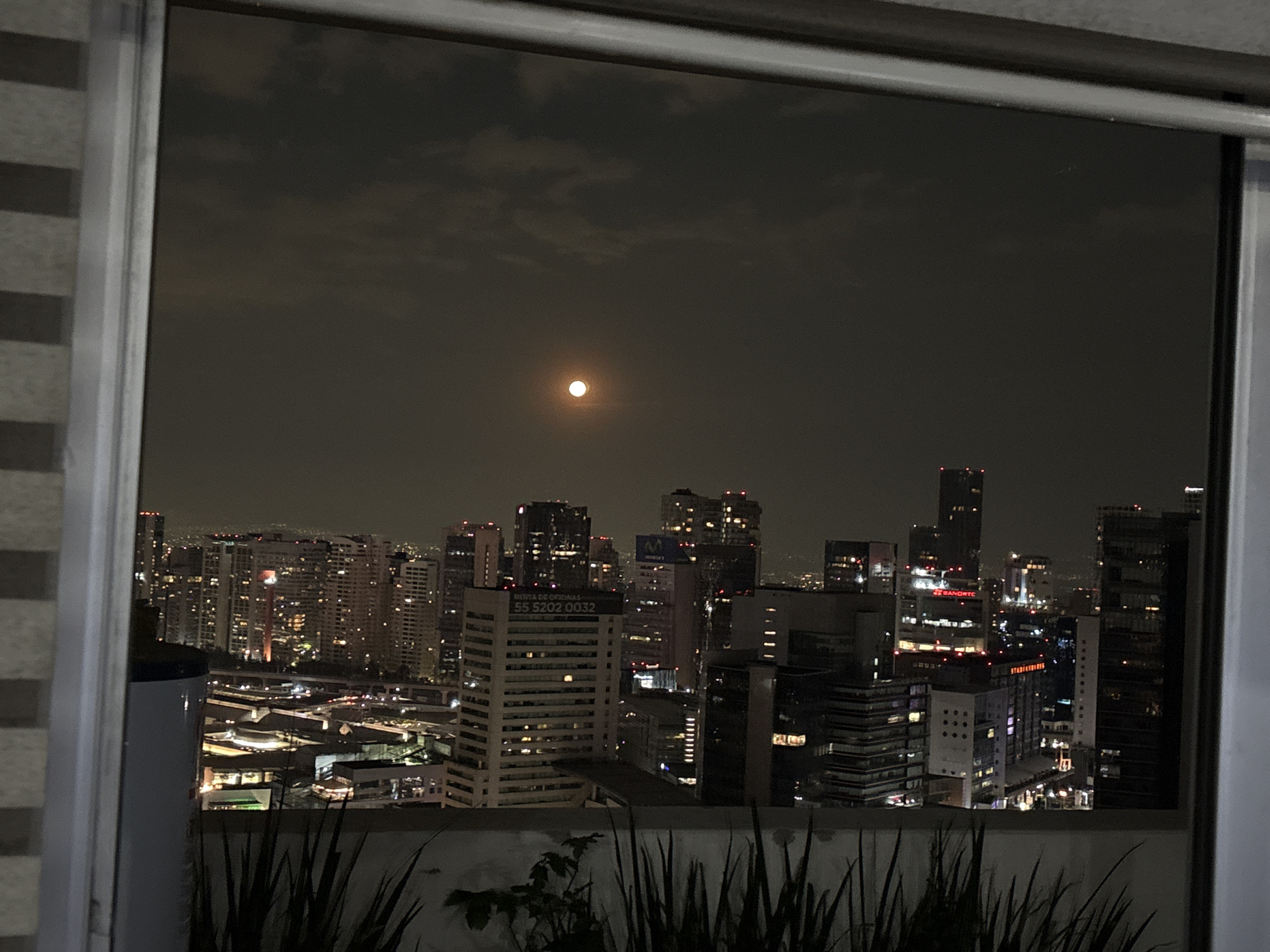 The image shows a night view of Mexico City, Mexico, seen through a window. The sky is dark with the moon visible. Below the sky is a cityscape with various buildings illuminated by lights. In the foreground, the windowsill is lined with plants. In the central foreground of the image, a white building with “55 5202 0032” printed on the side, is visible.