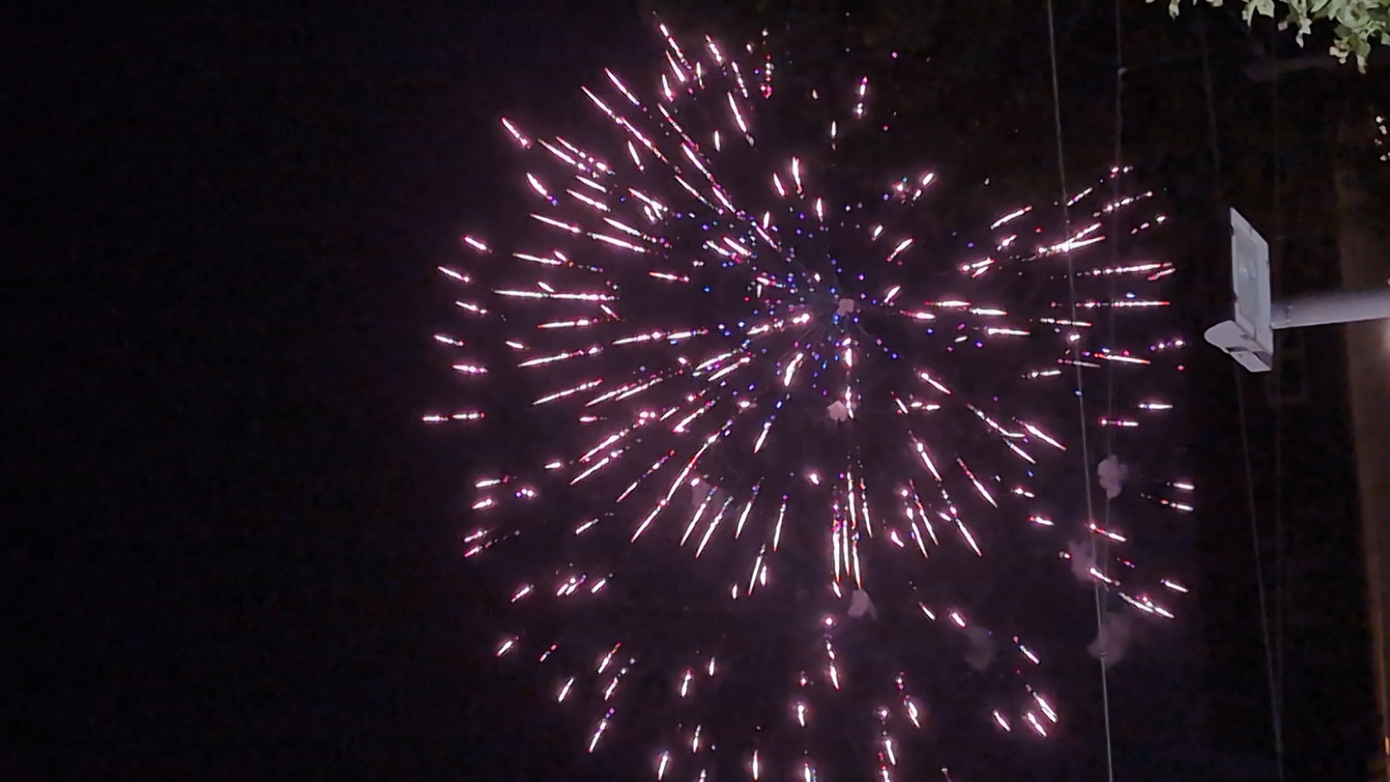 A nighttime photograph captures a vibrant fireworks display against a dark sky. The fireworks are a mix of pinkish-white and purple lights, radiating outwards in a spherical pattern, with some individual bursts and trails visible. In the foreground, a street light pole with a lamp is visible, along with some dark silhouetted foliage on the right side. Power lines are stretched horizontally across the lower portion of the image. The scene appears to be outdoors in a potentially urban or suburban setting. The city of Bingen am Rhein, Germany is mentioned as the location.