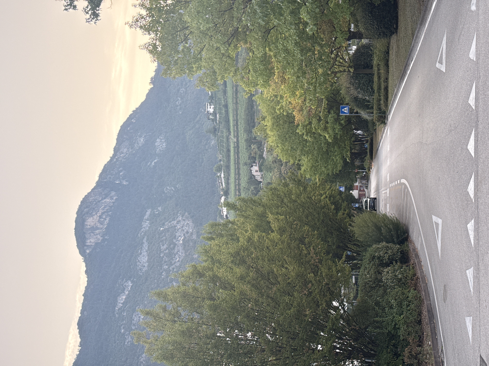 A paved road curves gently towards a distant town nestled at the base of a large, rocky mountain. The sky above is a soft, hazy pastel, hinting at either dawn or dusk. Lush green trees line both sides of the road, with some displaying early autumnal colors of yellow and orange. In the distance, on the mountainside, are vineyards and several buildings, including a prominent white house. The road itself has white markings indicating lanes and pedestrian crossings. A single black car is visible on the road ahead, and a pedestrian crossing sign is posted on the right side. The overall impression is a serene, somewhat rural scene, likely on the outskirts of Trento, Italy, given the characteristic mountainous terrain.