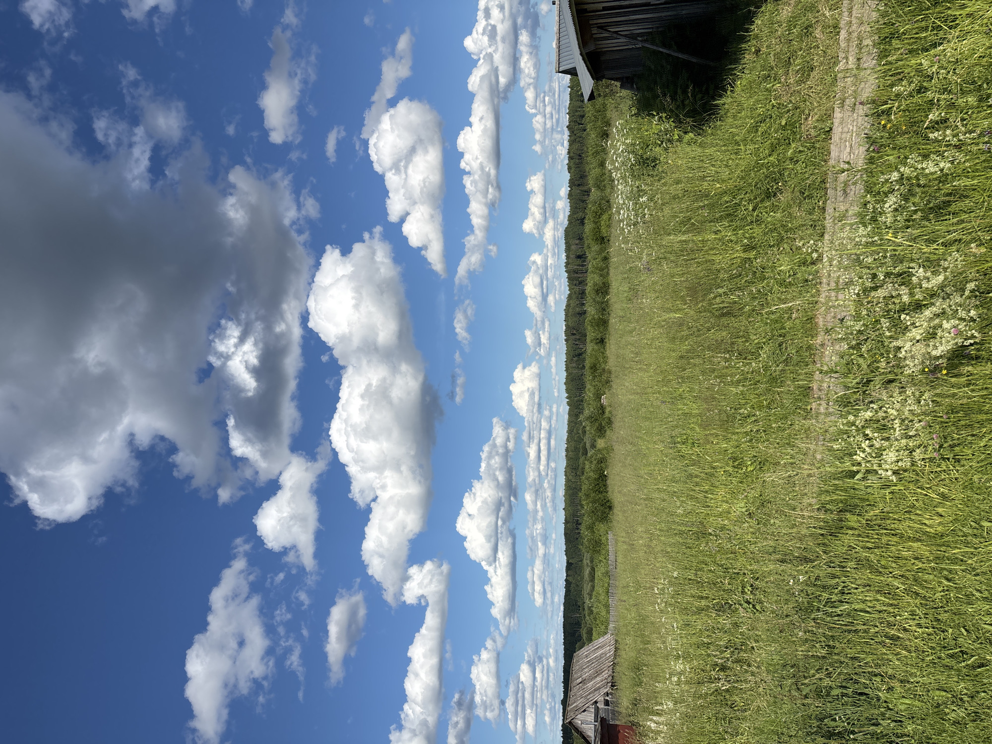 This is a vertical, eye-level, outdoor shot of a rural landscape on a sunny day in Kurgan, Russia. The image is dominated by a bright blue sky filled with fluffy white clouds, some of which are dark and heavy, suggesting a possibility of rain. The sky occupies the left two-thirds of the frame, while the right third is a grassy field filled with tall, green grass and scattered wildflowers.
A weathered wooden structure, possibly a shed or part of a building, is visible in the bottom left corner and also at the top right edge of the frame. The grassy field slopes gently upwards and extends into the distance, forming a treeline of dense green foliage that separates the field from the sky. A rustic wooden fence is partially visible running along the edge of the field, further emphasizing the rural setting. The lighting suggests it is daytime, with the sun casting a bright, clear light. There is no visible text in the image. The overall mood is peaceful and serene, capturing the natural beauty of a summer day in the countryside.