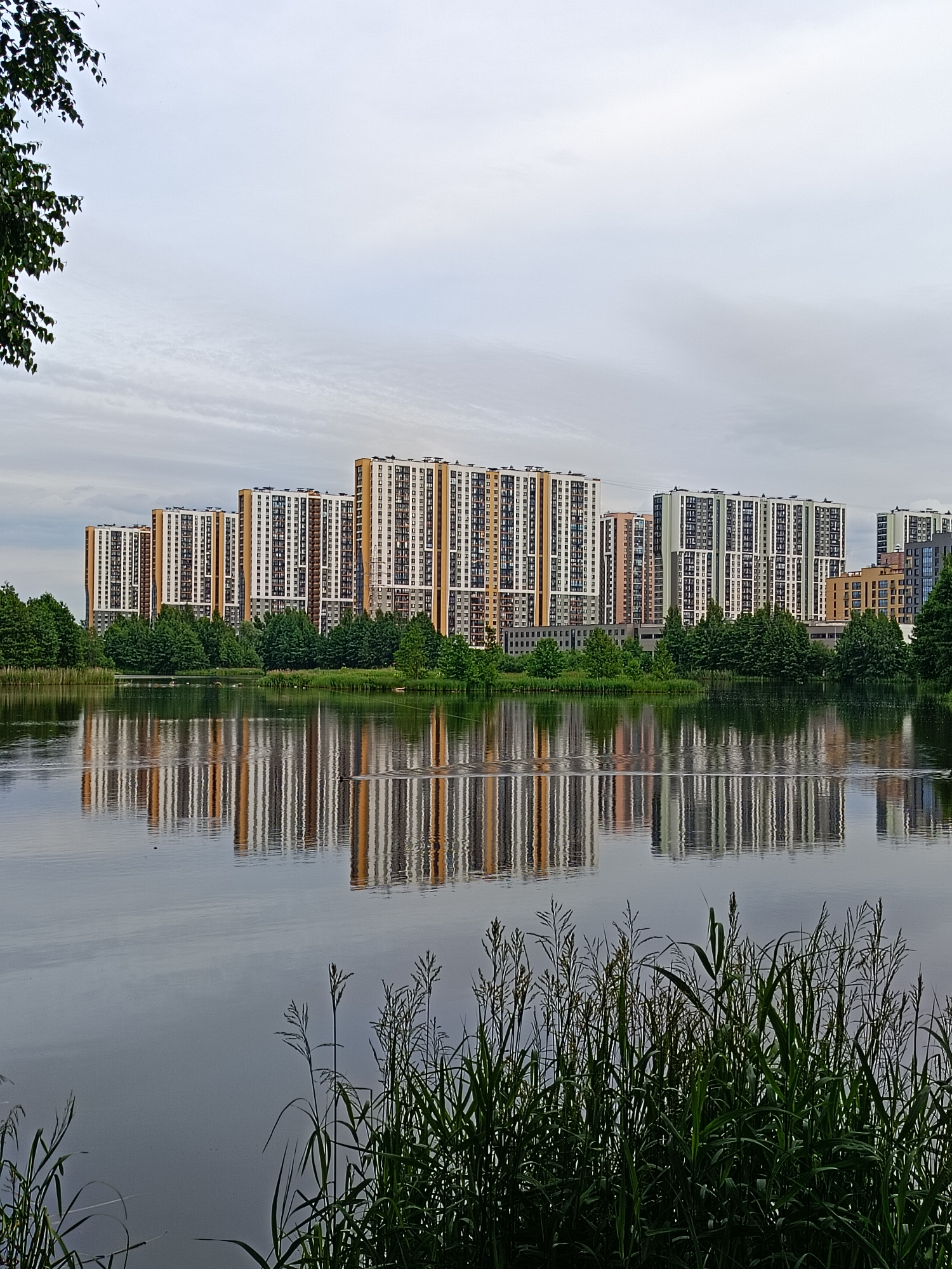 The image depicts a serene lakeside view of modern apartment buildings reflected in the calm water. In the foreground, tall green reeds and grasses frame the bottom of the scene, their stalks swaying gently. Beyond them, a calm lake stretches across the mid-ground, its surface mirroring the sky and the structures on the opposite bank. A few birds are visible on the water.
Across the lake, a row of tall, multi-story apartment buildings stands prominently. These buildings are characterized by their modern architecture, featuring a mix of white, gray, and orange/tan facade elements with numerous windows. They are interspersed with lush green trees, creating a harmonious blend of urban development and nature. The reflections of the buildings and trees are clearly visible on the water's surface, adding depth and symmetry to the composition.
The sky above is overcast with soft, diffused light, suggesting either early morning or late afternoon on a cloudy day. The overall mood of the image is peaceful and tranquil. The location is identified as Saint Petersburg, Russia. There is no visible text in the image.