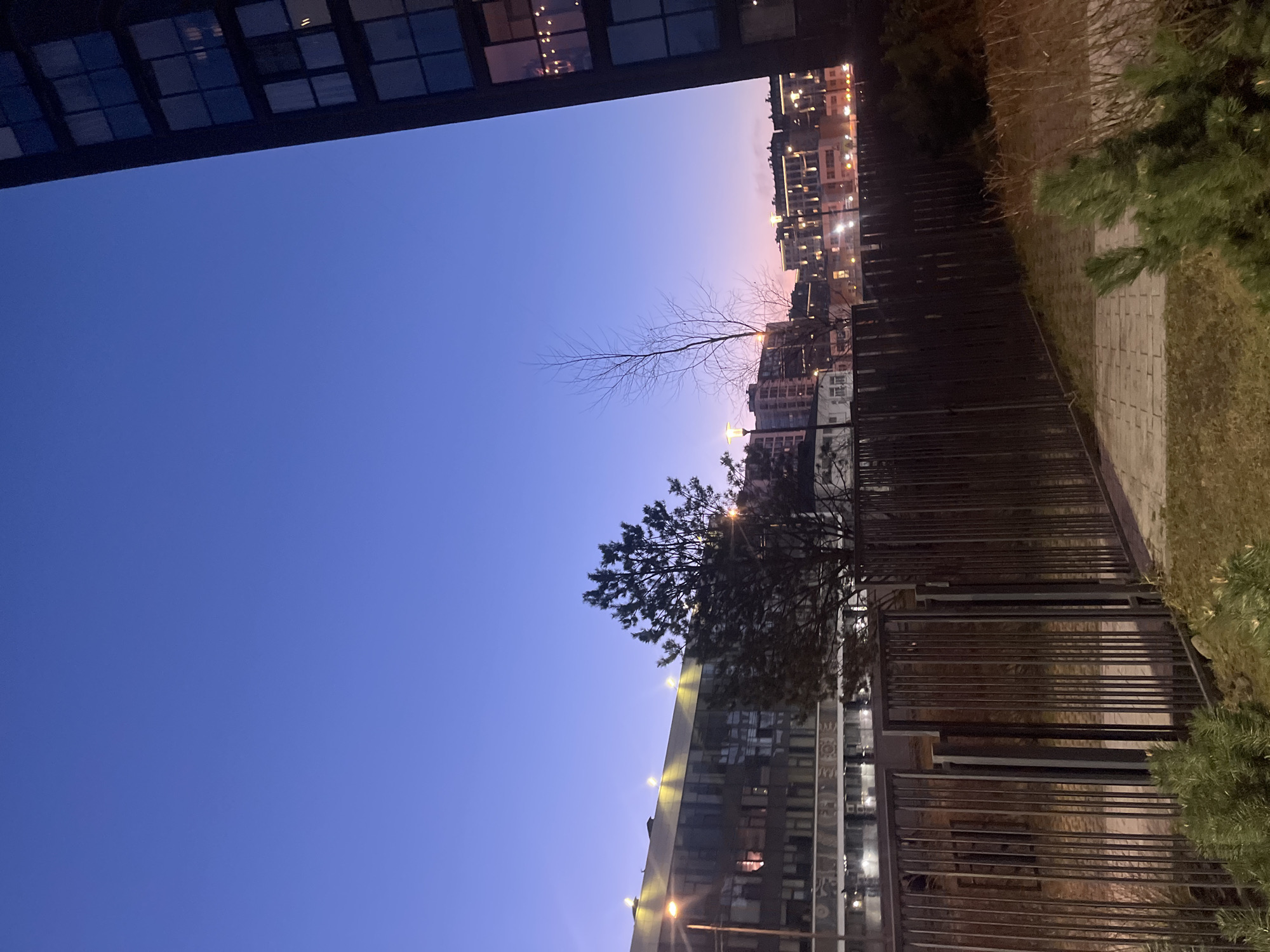 The image shows an urban scene in Saint Petersburg, Russia, at dusk. A view of the sky, transitioning from blue to pink near the horizon, is framed by buildings. A building with glass windows occupies the bottom of the frame, while a section of another building with smaller square windows is visible at the top. In the middle distance, a line of buildings is seen, illuminated by streetlights and the lights from windows. A bare tree branch reaches toward the sky. To the right, there is a walkway with a metal fence and vegetation along the side. The scene is generally still and devoid of human activity.