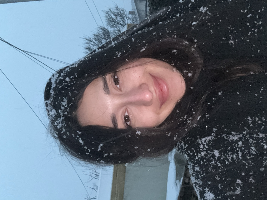 This image captures a close-up outdoor portrait of a female individual in Cibukovac, Serbia, during snowy conditions. The subject, an adult female with dark, long hair and light complexion, is positioned centrally, looking directly at the camera with a closed-mouth smile. Snowflakes are visible adhering to her hair and the dark-colored outer garment she is wearing. Her eyes are brown, and her cheeks and nose display a slight reddish flush. The background features an overcast, light blue-grey sky, crossed by utility lines in the upper frame. To the left, a portion of a light-colored building with a snow-covered horizontal surface is visible. To the right, the bare branches of a deciduous tree are discernible, indicating a winter environment.