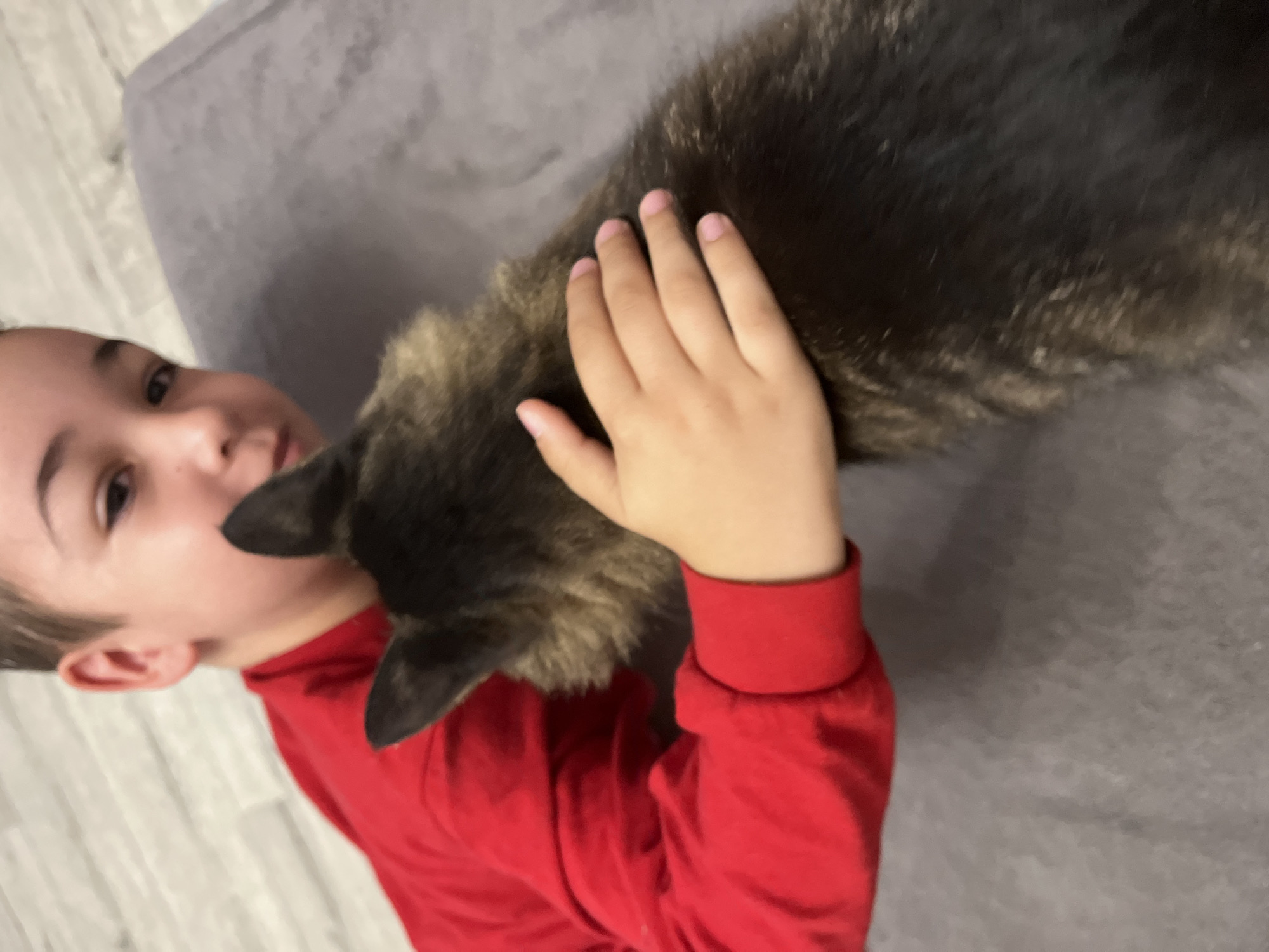The image shows a close-up of a child wearing a red long-sleeved shirt, embracing a dog with dark fur. The child's face is partially visible, and their hand rests on the dog's back. The background appears to be a soft, grey surface, possibly a couch or blanket, with a wooden floor visible in the upper left corner. There are no discernible landmarks or elements that would place this image in Krasnyye Barrikady, Russia.