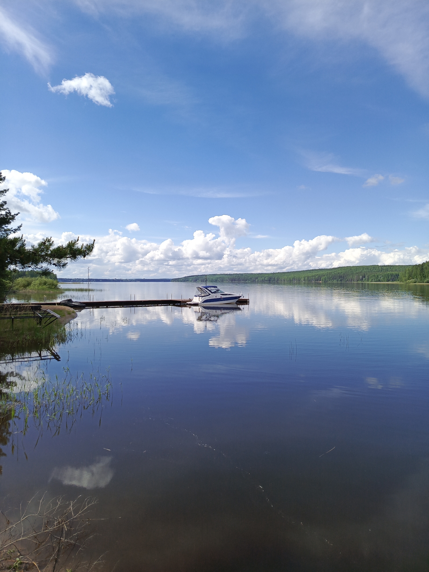 A serene landscape is captured in a photograph, likely taken near a shoreline. A tranquil body of water, reflecting the sky and clouds, dominates the scene, mirroring the sky above. A dock extends into the water, with a boat moored to it. The far side of the water is lined with a dense forest, suggesting a natural setting away from urban development. The sky is bright blue with scattered clouds, indicative of clear weather. Tall grass and some ground vegetation are visible at the immediate foreground. The image is composed in such a way as to emphasize the reflective qualities of the water and the vastness of the sky, creating a sense of peace and open space. The location is unknown.