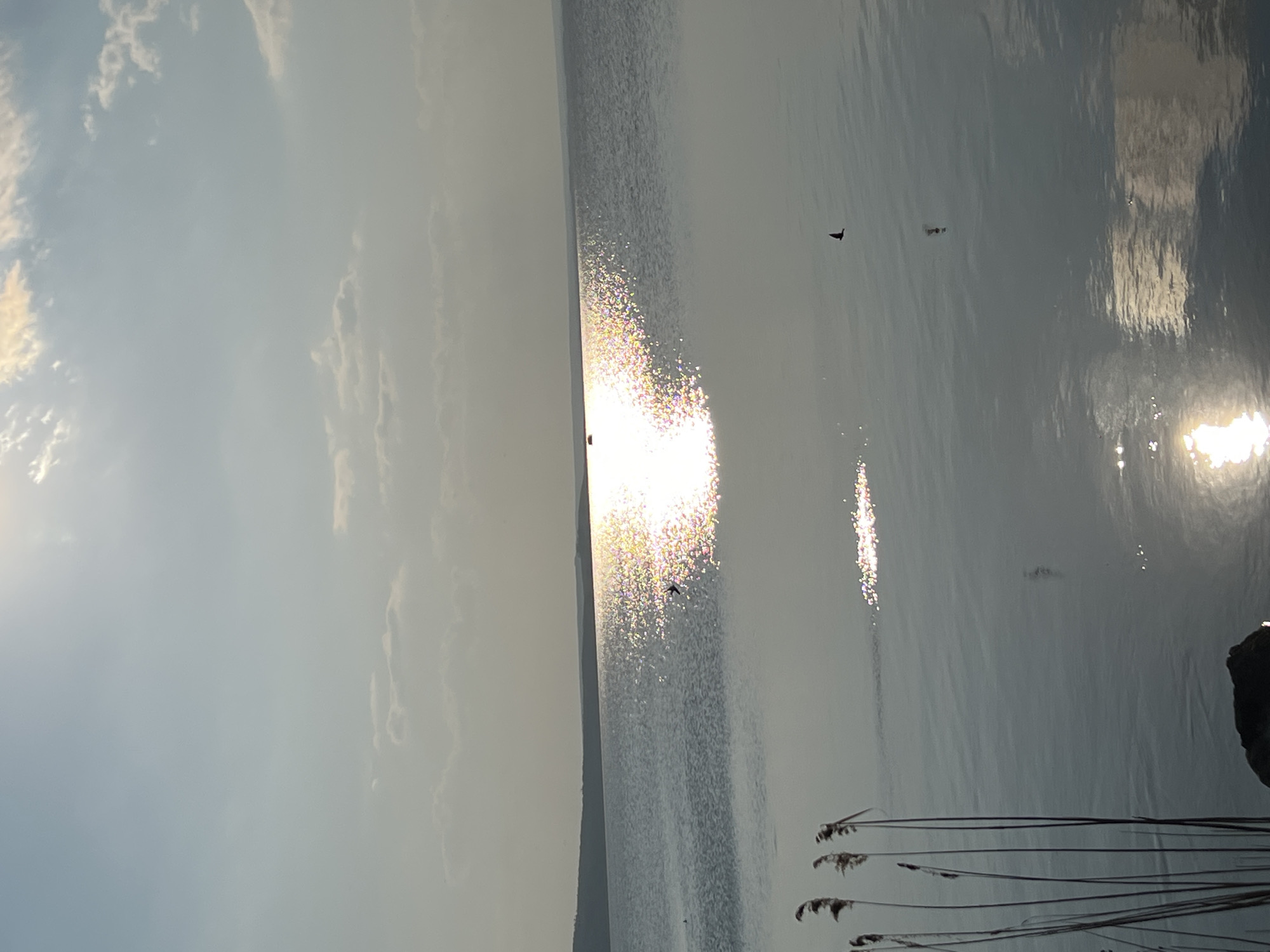 The image depicts a body of water reflecting sunlight, with reeds in the foreground and a cloudy sky above. Several birds are visible in flight near the water's surface. It is not possible to determine the location of Burgas, Bulgaria from this image.