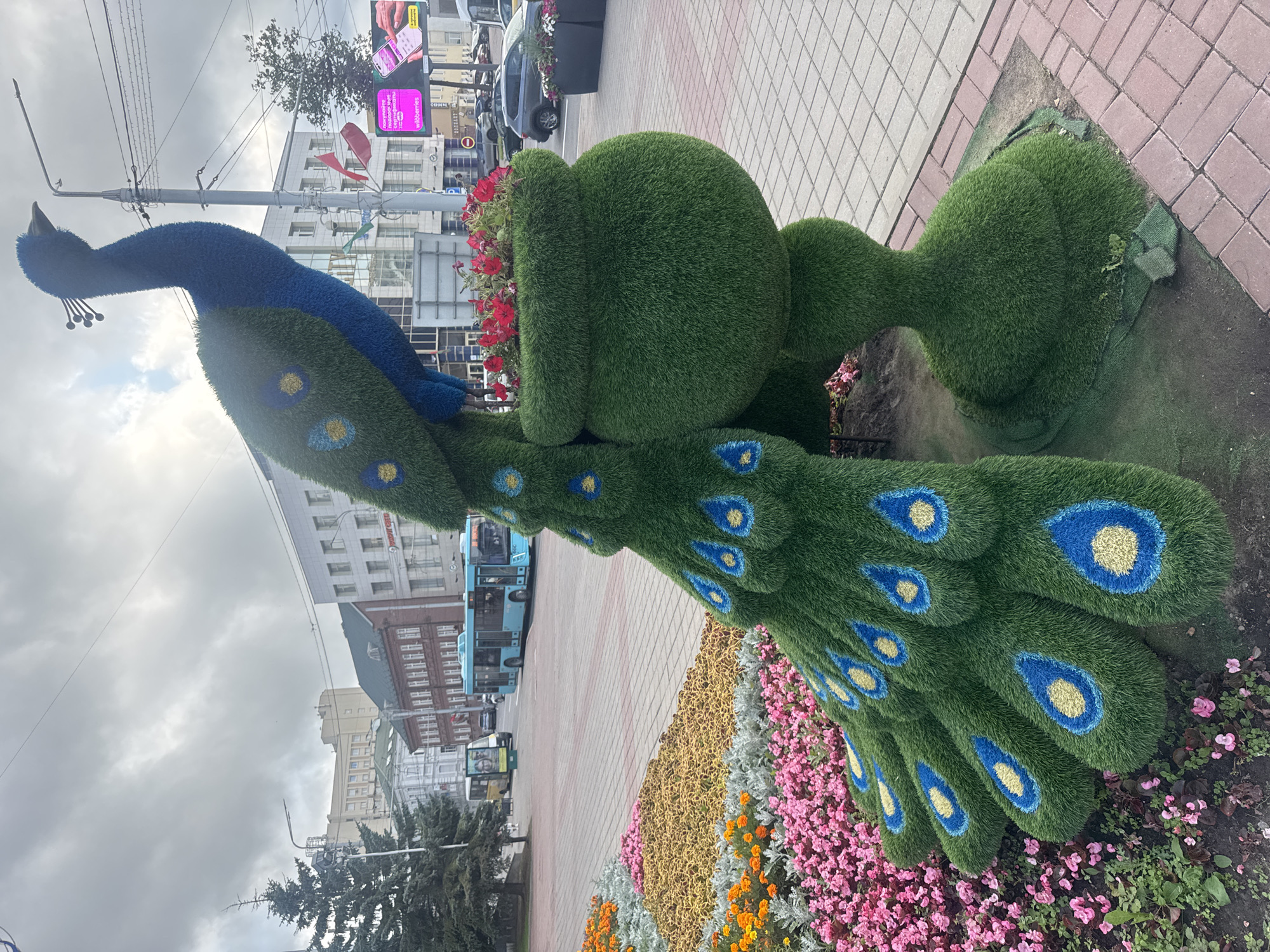 An artificial green peacock sculpture is displayed outdoors in a city. The peacock is decorated with blue and yellow feather patterns and holds a planter with red flowers on its back. The sculpture stands on a paved sidewalk, with a flower bed of pink and orange flowers in the foreground. In the background, there are buildings, trees, and buses on a street. The sky is overcast.