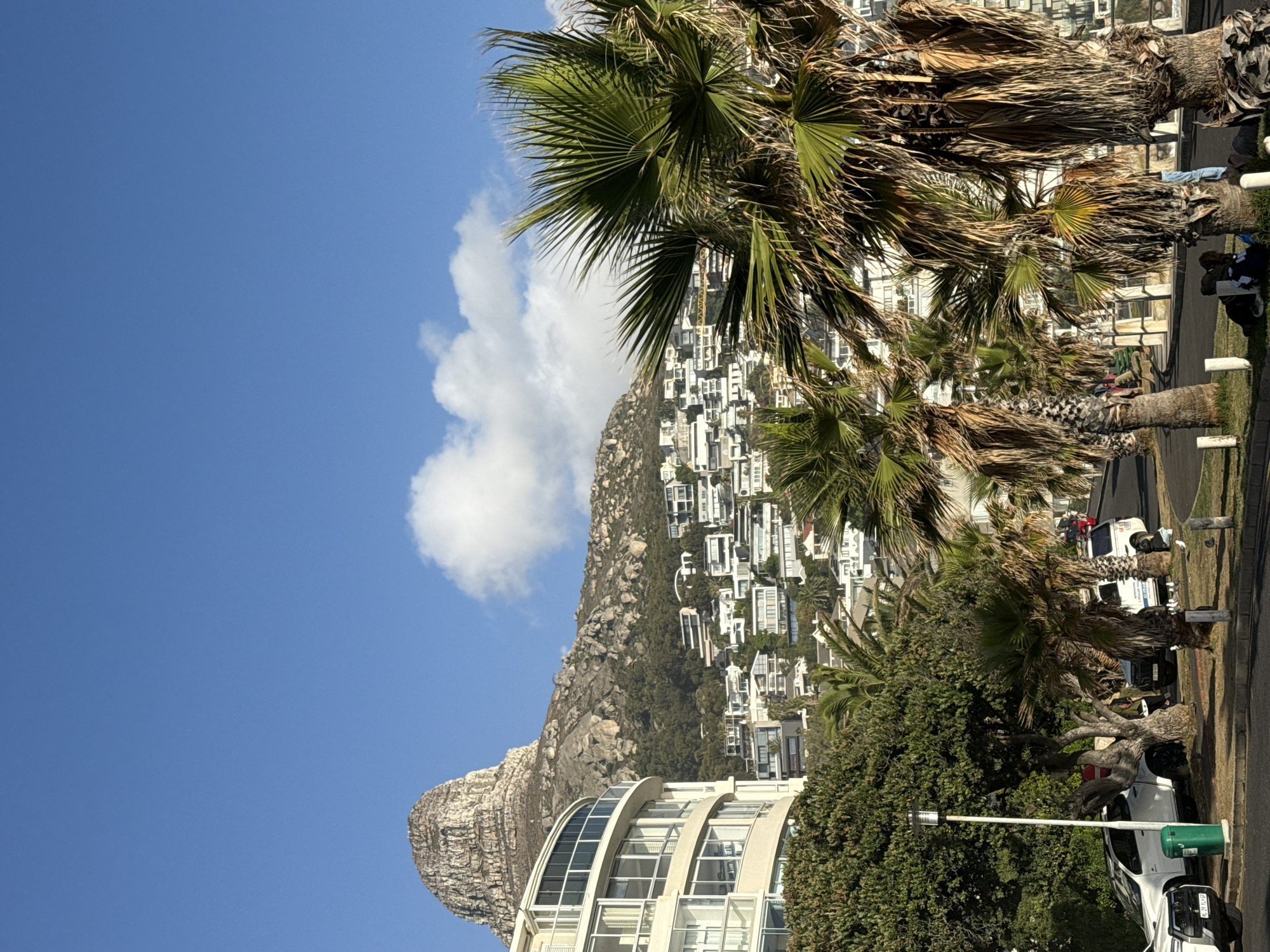 The image captures a coastal scene in Cape Town, South Africa, featuring Lion's Head mountain against a blue sky with a fluffy white cloud. A modern building with curved architecture stands in the foreground. Palm trees line the right side of the frame, partially obscuring houses built on the hillside. A street runs parallel to the palm trees with parked cars and a few people visible. The overall impression is a sunny, urban landscape nestled against a distinctive natural backdrop.