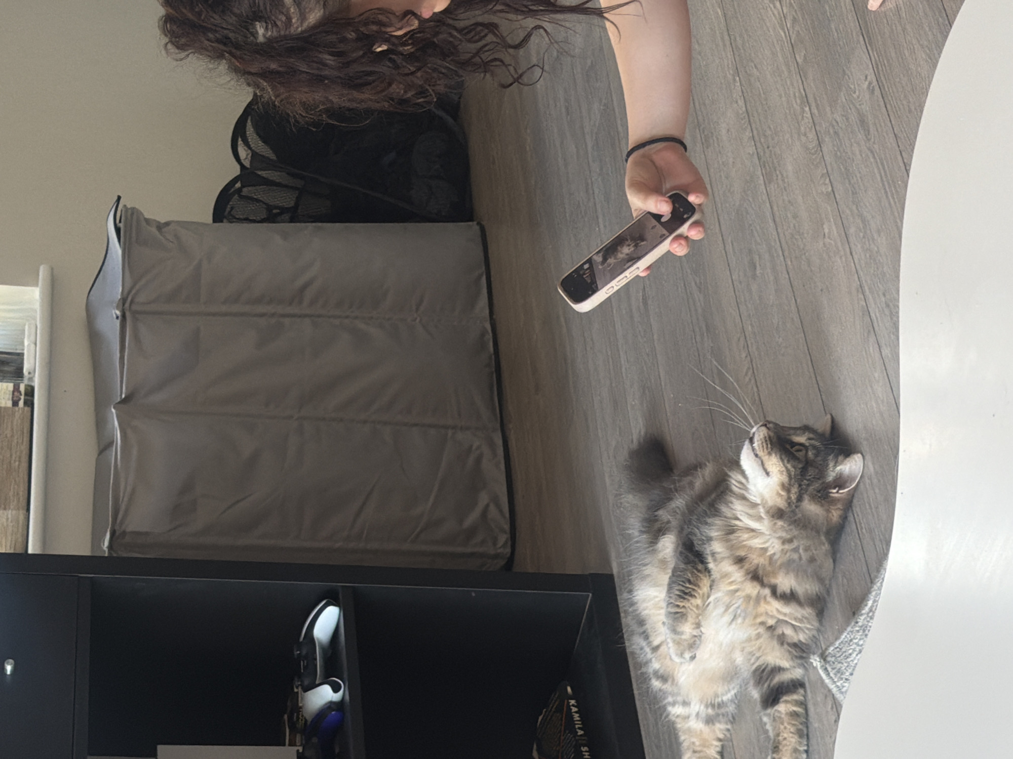 A person is holding a smartphone and looking at it. The person has long, dark, curly hair and is wearing a black top and a black bracelet on their right wrist. The smartphone is light pink and is displaying a photo of a cat. The person is standing on a wooden floor. To the left of the person is a large, gray laundry hamper. In the foreground, a fluffy, tabby cat is lying on its back on the floor, looking up. The cat has green eyes. The scene appears to be indoors, with natural light coming from the left, suggesting it is daytime. The setting seems to be a domestic environment. There is a black bookshelf to the left of the cat with some items on it, including what looks like a white and black shoe. Some faint text is visible on a book spine in the lower right portion of the image, reading "- KAMILA SH". The image is oriented such that the top of the person's head is towards the left side of the frame.