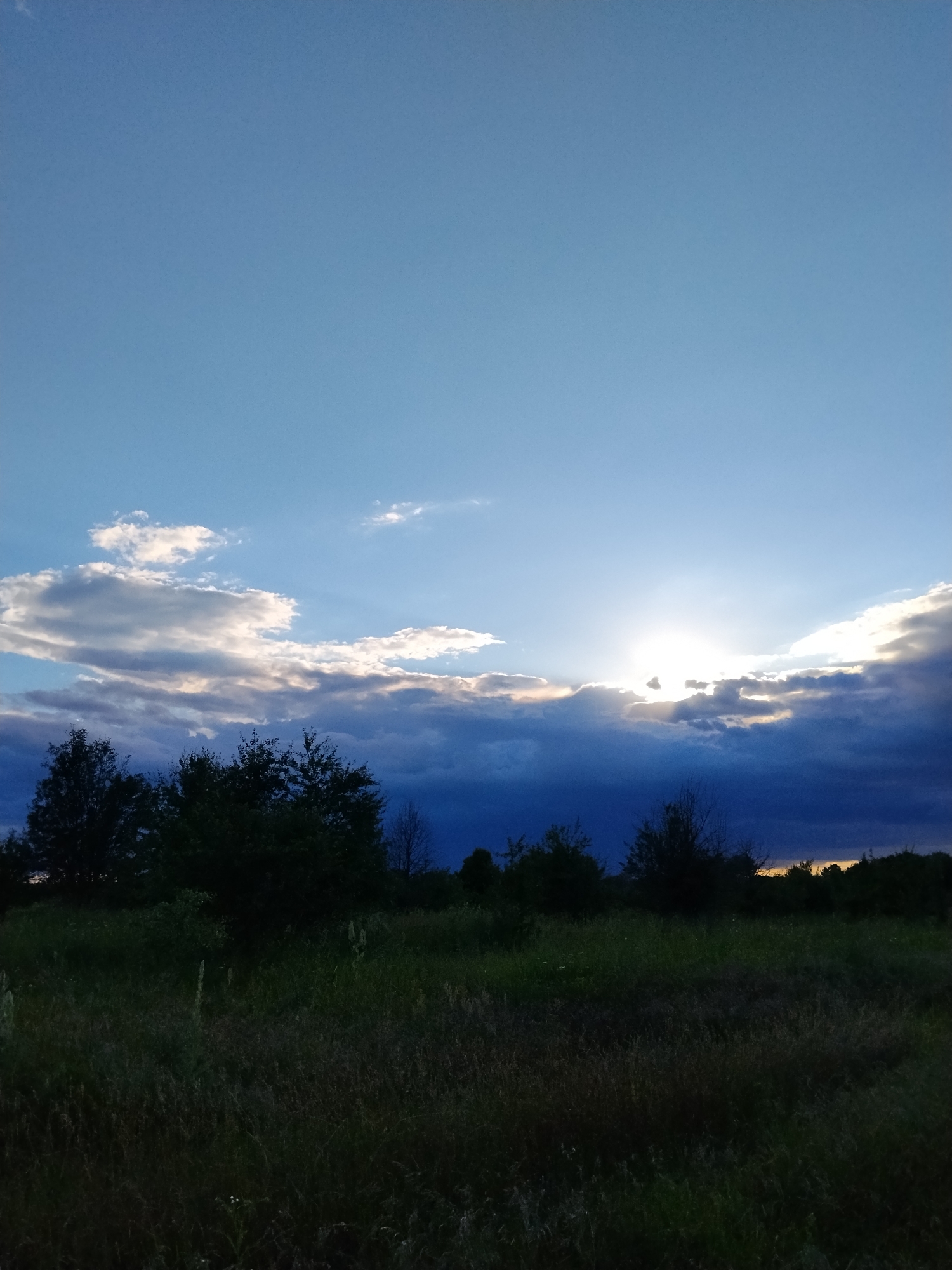 The image depicts a landscape scene at dusk, possibly near Ustyvytsia, Ukraine. The sky is a vibrant blue, transitioning to darker hues near the horizon. Sunlight breaks through a band of clouds, creating a dramatic effect with rays of light. A line of silhouetted trees and foliage forms the horizon, separating the sky from the foreground. The foreground consists of a field of tall grass, appearing dark and somewhat overgrown. No people or specific structures are visible. The overall atmosphere is one of natural tranquility as day gives way to night.