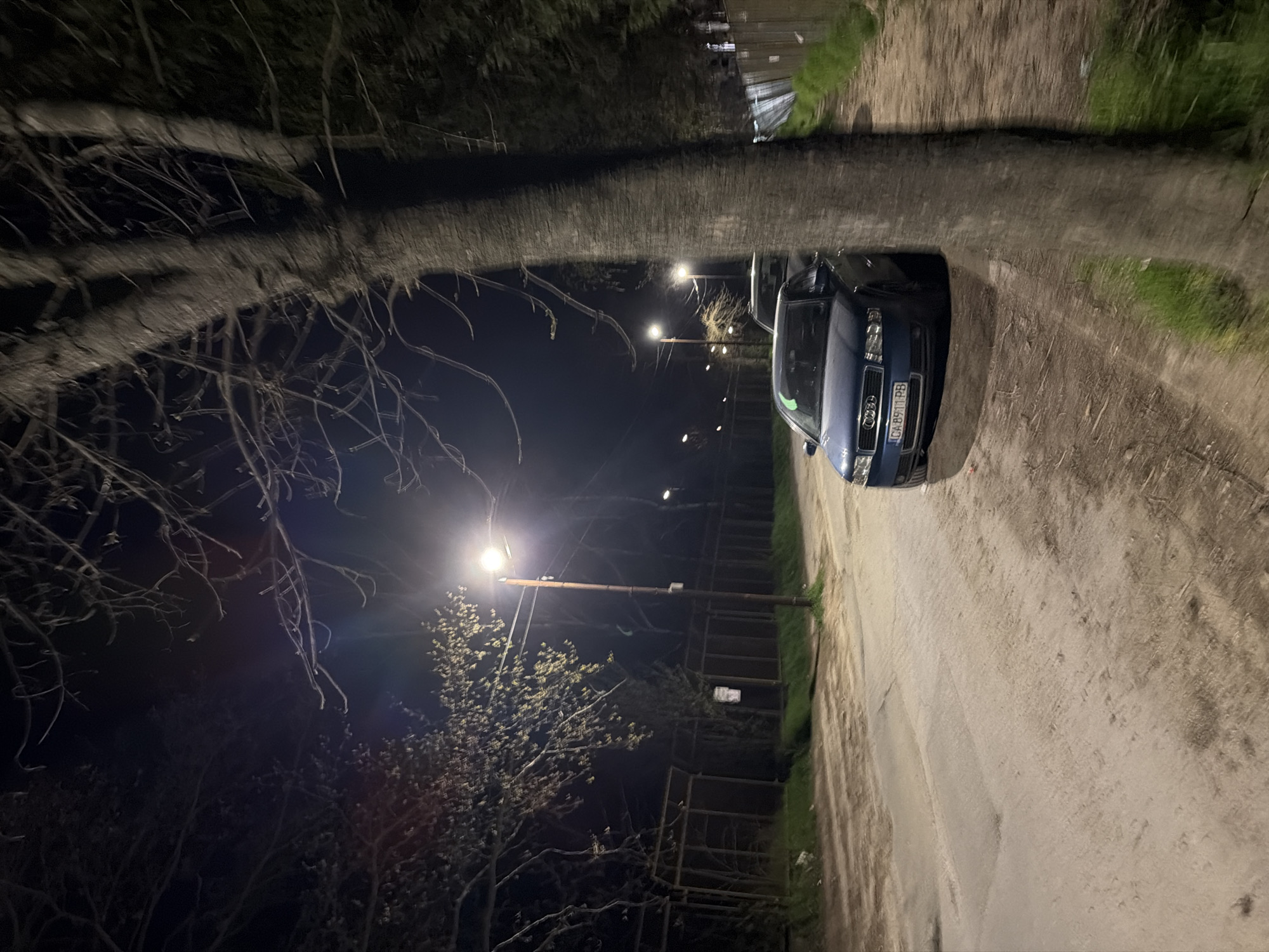 The image depicts an outdoor nighttime scene on an unpaved road, likely located in Panagyurishte, Bulgaria. The photograph is taken from a low angle, looking along a dirt or gravel path lined with sparse vegetation.
In the foreground, a prominent large tree trunk, rich in texture, stretches horizontally across the upper part of the frame, from which numerous bare, intricate branches extend downwards and into the dark sky. The scene is illuminated by artificial light from at least two streetlights, which cast a bright glow and create distinct shadows. One streetlight is visible on the left, partially obscured by tree branches, and another further down the road on the right.
A dark blue sedan, identified as an Audi by its front grille logo, is parked on the right side of the unpaved road. Its front bumper and headlights are clearly visible. The car's license plate displays the text "CA 8911 PB". The road itself is uneven, composed of dirt and gravel, showing signs of tire tracks. Patches of green grass grow alongside the road. In the background, beyond the car and streetlights, there are additional trees or bushes, some appearing to be in early foliage, and indistinct fencing or barriers. No people are present in the image, conveying a quiet and still atmosphere.