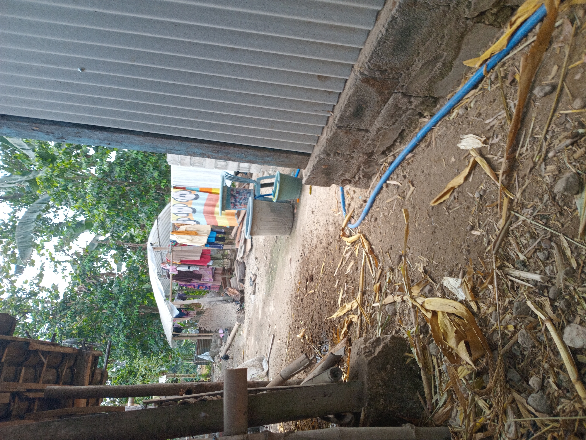 The image depicts an outdoor scene in Puncu, Indonesia. In the foreground, dry leaves, bamboo stalks, and small stones litter the dirt ground. A blue hose runs across the lower portion of the image, alongside a weathered brick wall supporting a corrugated metal structure on the right. To the left, wooden posts and bamboo poles create a partially enclosed area. In the mid-ground, a clothesline hangs with various garments, including a colorful patterned sheet, under a simple white awning. Behind the clothesline, a plastic trash bin and a green bucket are visible. A single chicken stands in the dusty path leading away from the clothesline. Lush green trees and foliage form the backdrop, suggesting a rural or semi-rural environment. The sky is overcast, contributing to the muted lighting of the scene.