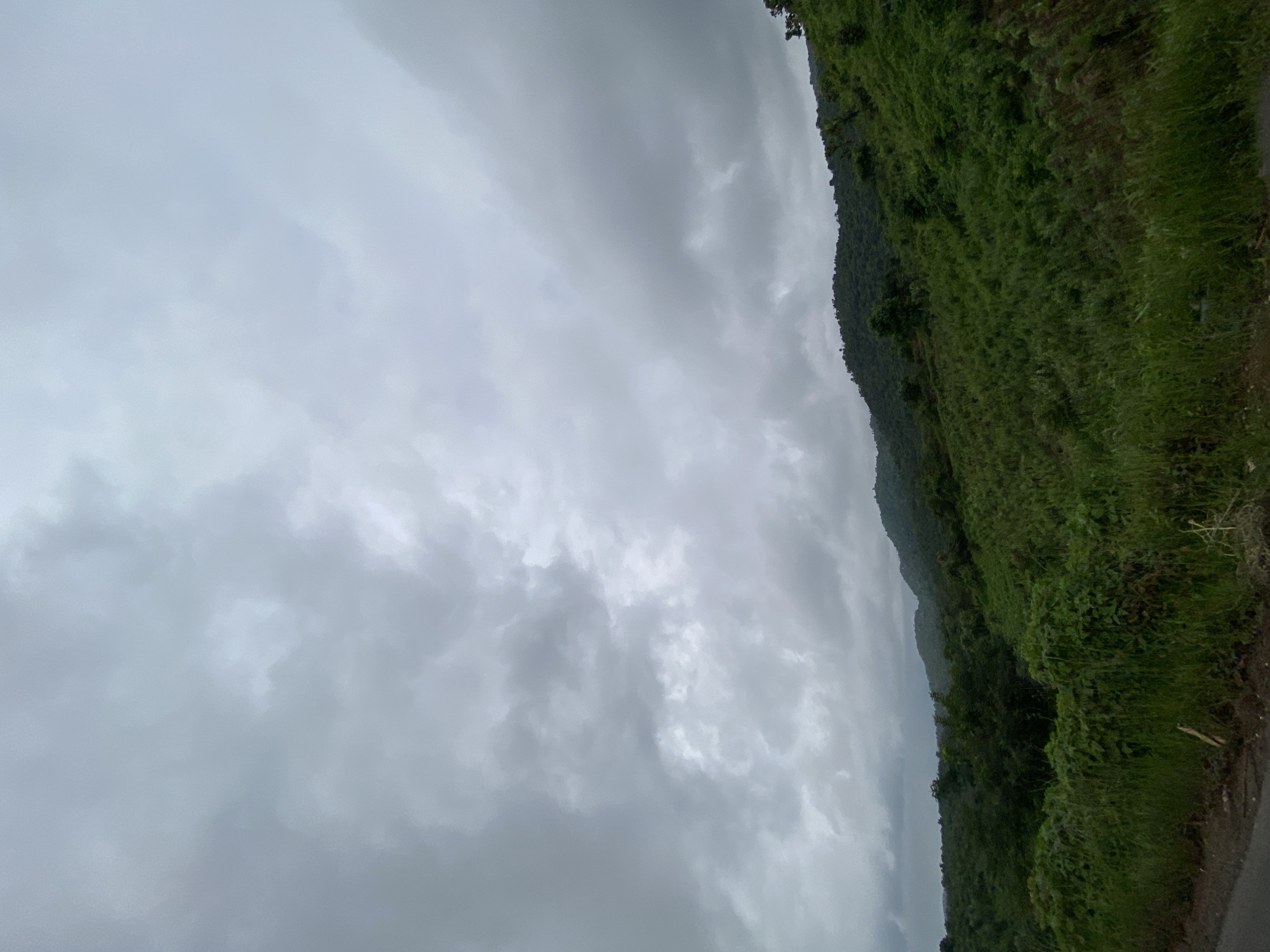 The image shows a landscape scene with rolling hills covered in lush green vegetation under a cloudy sky. The clouds are heavy and gray, suggesting overcast weather, possibly before or after rain. The foreground features tall grass and some dry stalks. In the midground, the vegetation becomes denser, forming a carpet of green on the slopes of the hills. The background reveals more distant hills also covered in trees and greenery, fading into the hazy atmosphere. The overall impression is one of natural, undeveloped terrain. There are no people or man-made structures visible in the image, indicating a rural or remote location. The location in Assob Hausa, Nigeria, is implied but not visually confirmed by any specific landmarks in the image.