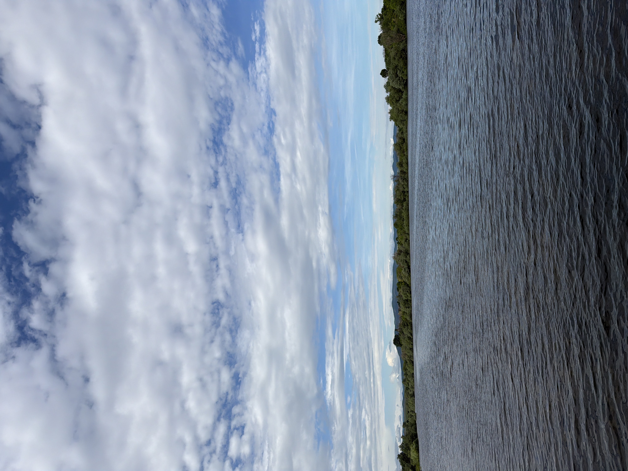 The image shows a body of water, possibly a lake or wide river, bordered by trees on the right side. The left side of the image is dominated by a cloudy blue sky. The image is taken outdoors during the daytime. The location is not specified in the image.