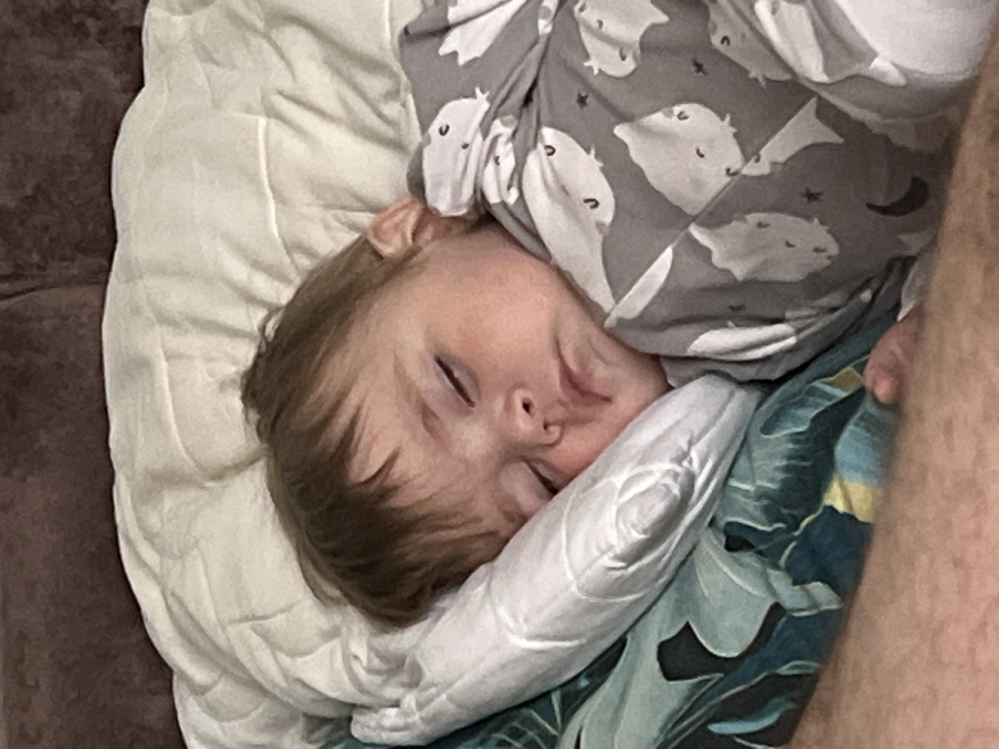 A close-up, high-angle shot shows a sleeping toddler nestled in pillows and blankets. The child has fair skin, light brown hair, and closed eyes. They are lying on their side. A white pillow cradles the child's head. A grey blanket with white cartoon animal faces covers the upper part of the child. A blue and green patterned blanket is also visible. To the left is a brown, soft surface, likely a couch or chair. Part of a light-skinned arm and hand is on the right side. The location in the city of Noviy, Russia is not determinable from the image.