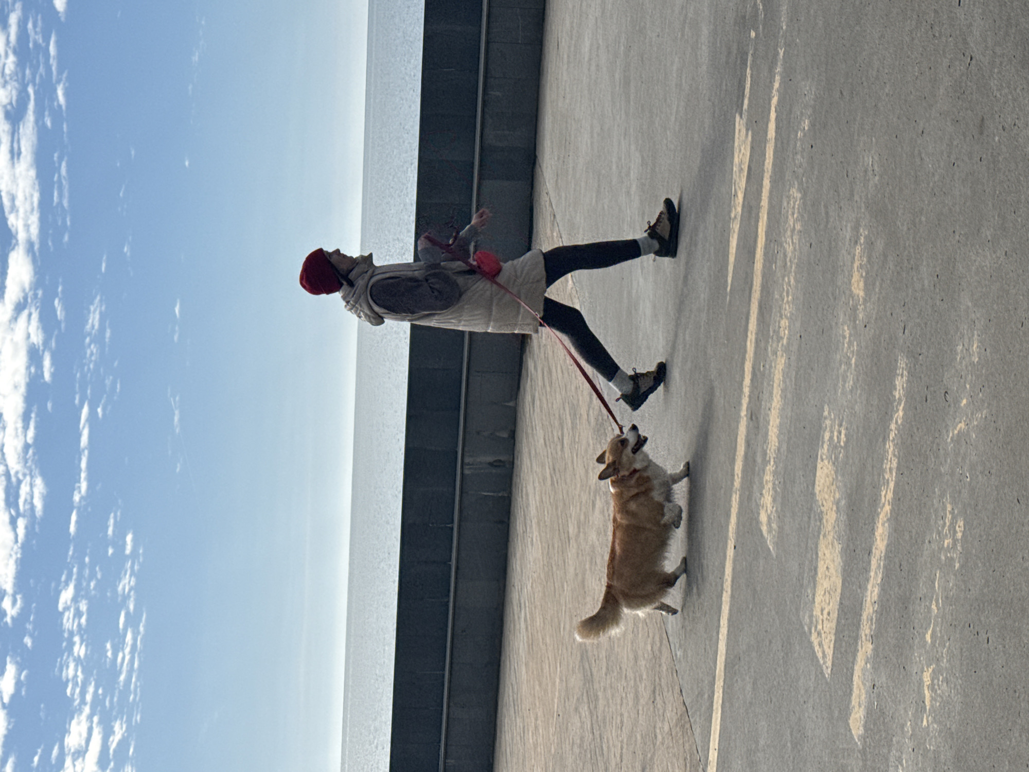 The image displays a person walking a dog on a sunny day along a paved promenade next to a large body of water. The scene is presented horizontally, with the ground making up the lower portion and the sky and water the upper.
In the mid-ground, a person is walking towards the left. They are dressed in a red beanie hat, a light-colored sleeveless vest over a darker long-sleeved top, dark leggings, and robust outdoor shoes. A small red bag is worn across their body. They hold a red leash, which is attached to a light brown and white Corgi dog walking slightly ahead and to the right of the person. The dog is looking upwards, appearing engaged with its owner or something in that direction.
The foreground shows a concrete or paved surface, featuring texture and long, light-colored shadows that indicate the sun is low in the sky, suggesting either morning or late afternoon. Behind the walkway, a dark gray concrete wall or barrier runs parallel to the path, separating it from the expansive body of water, which extends to the horizon. Above the water, the sky is a clear blue with scattered white, wispy clouds.
The weather is bright and clear, contributing to a tranquil and leisurely atmosphere. There is no visible text in the image. Based on the provided context, the location is Batumi, Georgia.