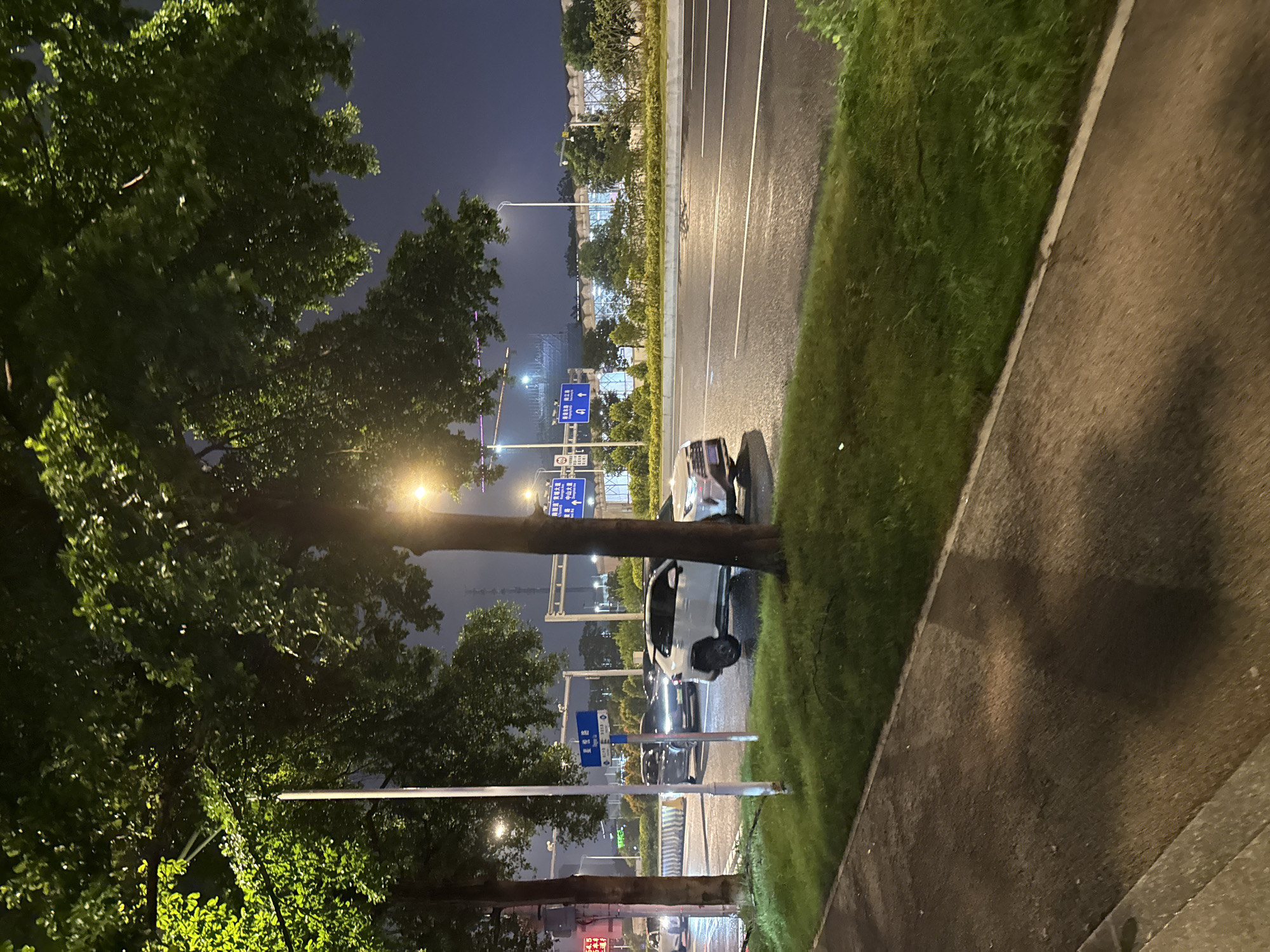 A nighttime scene in Haizhu District, China, captures a street with cars on a wet road. Two trees with dense green foliage are prominent in the foreground, with one on the left and another on the right, partially obscuring the view of the road and its surroundings. A white SUV is parked or moving on the right side of the road. Further down the road, traffic lights and road signs are visible. The sky above is dark, indicating nighttime. The ground in the foreground is a paved walkway, with grass bordering the road. The overall atmosphere is that of a city street after rainfall, with the wet surfaces reflecting the ambient light.
