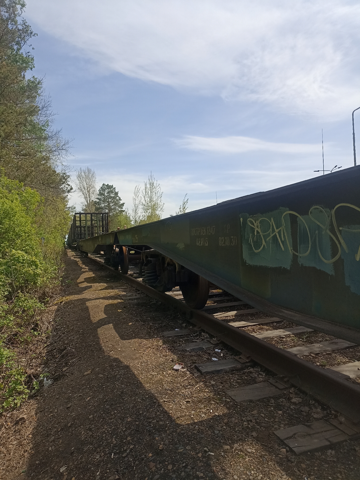 The image shows a flatbed railway car on a section of railroad tracks. The car is green and has graffiti on the side. The tracks are weathered and run through a dirt and gravel path bordered by vegetation on the left. The sky is partially cloudy. No people are visible. The specific location within an unknown city is not discernible from the image.