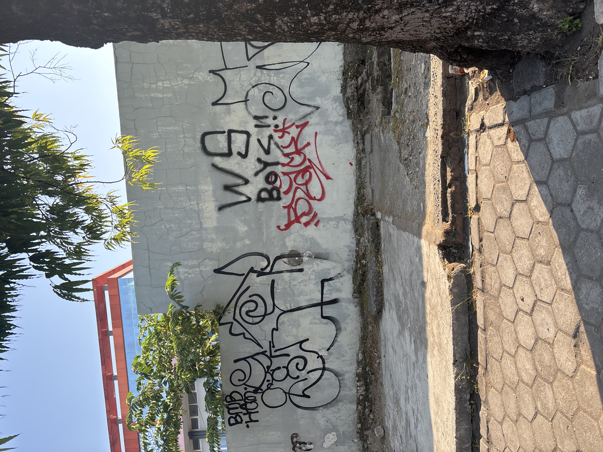 This image captures a section of a grey concrete wall adorned with graffiti, located in the city of Cirebon, Indonesia. The wall is cracked and shows signs of weathering. On the left side, black graffiti with stylized letters and shapes is visible, with the text "BMB HCR" above it. To the right of this, black graffiti reads "WS BOYS!!". Below "WS BOYS!!", there is red graffiti with a different style. Further to the right, there are more black graffiti tags, one appearing to be an "M" and another with a swirl.
In front of the wall, a concrete sidewalk with hexagonal paving stones leads away from the viewer. A large tree trunk with dark, textured bark stands on the right side of the frame, partially obscuring the wall and the sky. Behind the wall, the upper floors of a modern building with orange and blue glass facade are visible, along with green foliage. The sky is clear and blue. The scene appears to be outdoors on a sunny day.