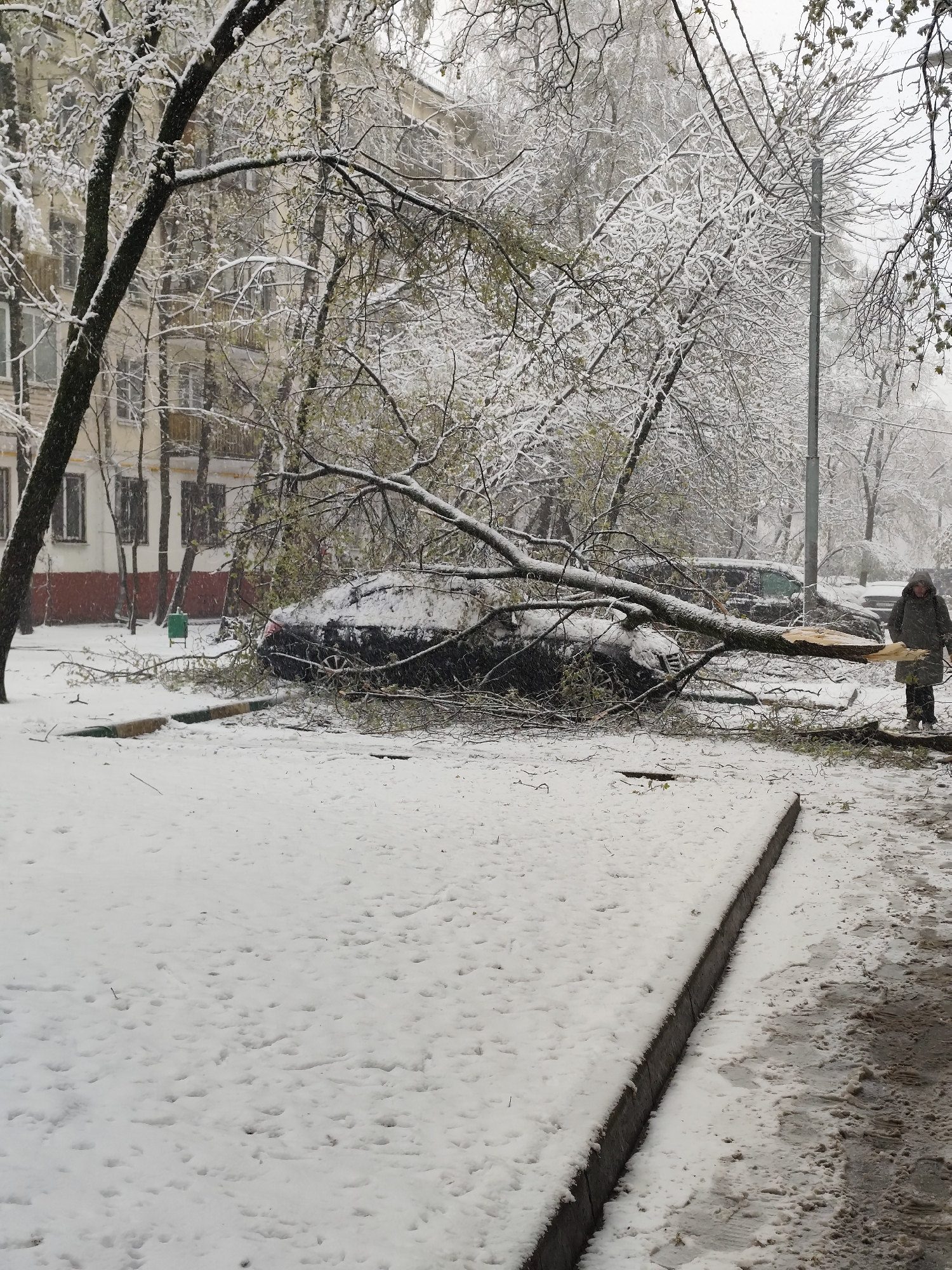 A city street in Unknown, Unknown, covered in fresh snow, shows a large tree branch fallen across a dark-colored car. The branch appears to have broken off a larger tree to the left of the car. The car is covered in snow and debris from the branch. To the right of the car, an individual wearing a dark coat walks along a sidewalk, seemingly observing the scene. In the background, a light-colored building with multiple windows is visible, and other parked cars can be seen. A streetlight stands tall amidst the snow-covered trees. The overall environment suggests a cold, possibly early-season snowfall.