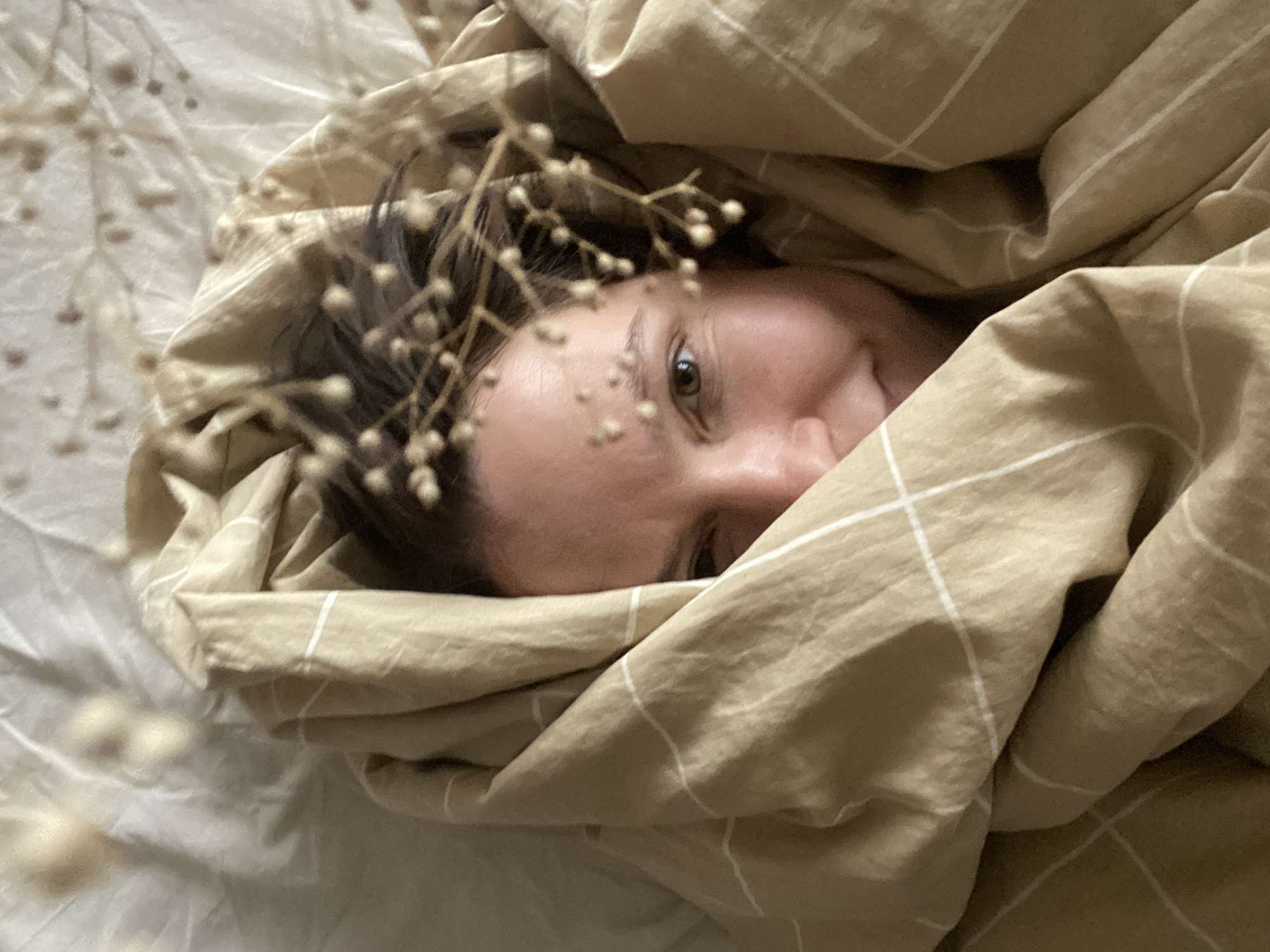 A person is partially visible beneath a tan and white plaid duvet. A dried flower stem with small spherical seed pods is near the person's face. The visible portion of the person includes part of their forehead and one eye, appearing to be green. The background shows a plain, light-colored sheet beneath the duvet. No location information is discernible from the image.