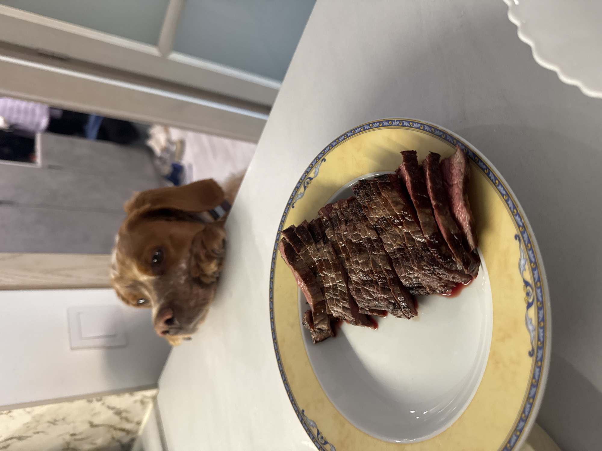 A medium-sized brown dog is positioned to the left, peering upwards towards a plate of sliced steak placed on a white countertop. The plate is white with a yellow rim bordered by a design in blue. The steak appears medium-rare, with visible grill marks on the outer surface and a reddish hue in the center of each slice. The setting is indoors, adjacent to a window or cabinet. No people are visible. The specific location in Sofia, Bulgaria cannot be determined from the given image.