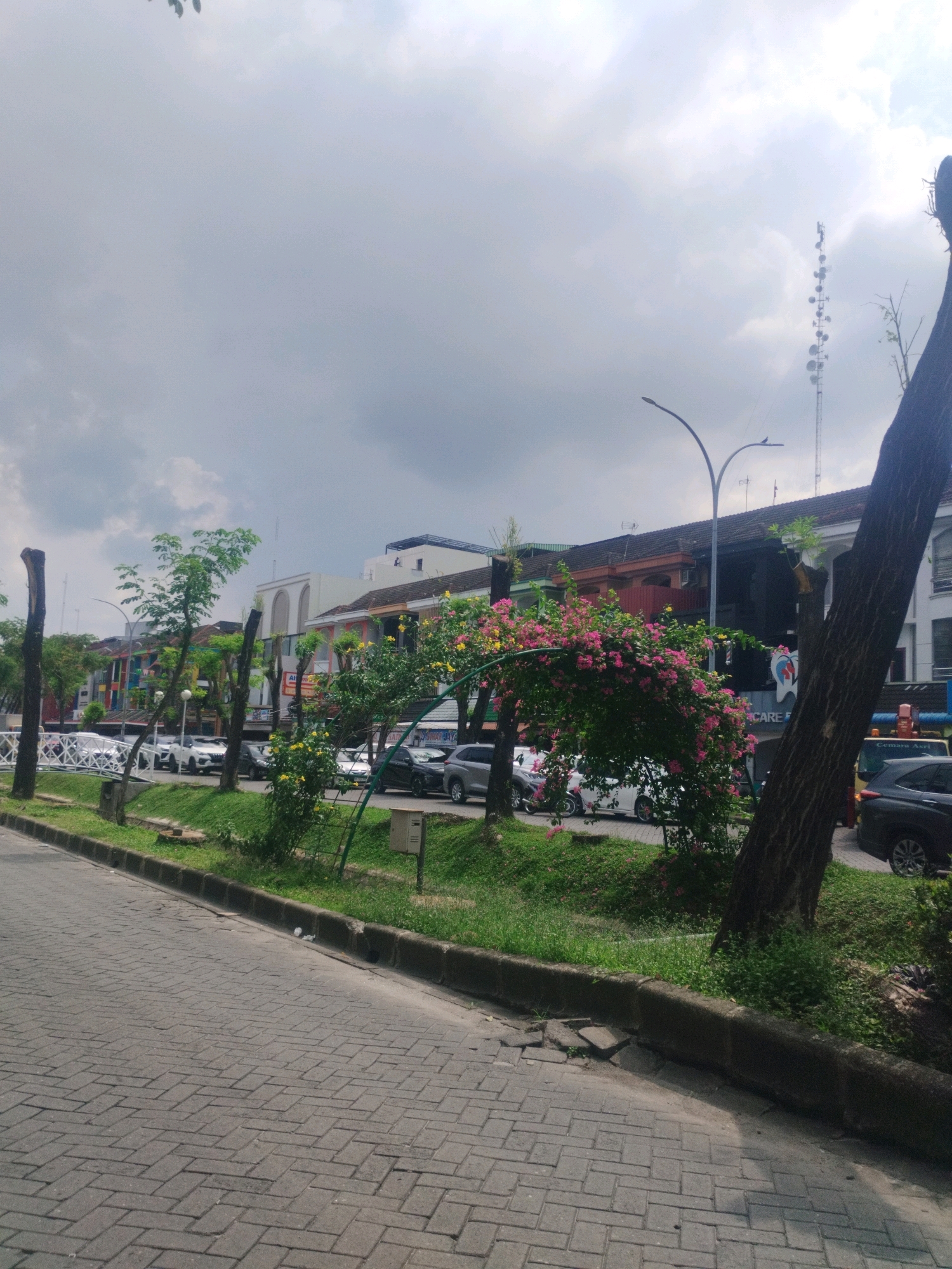 The image depicts a street scene in Percut Sei Tuan, Indonesia, under an overcast sky. A paved sidewalk runs along the foreground, adjacent to a grass strip bordered by a concrete curb. Beyond the grass strip, a row of buildings with various architectural styles and colorful facades are visible, suggesting a commercial or mixed-use area. Several cars are parked along the street in front of the buildings. Trees with trimmed branches line the sidewalk and grass strip, with one large tree with dark bark prominently featured on the right side of the frame. A flowering bush with pink and yellow blossoms is arching over a portion of the grass strip, adding a touch of color to the scene. A tall telecommunications tower with multiple antennas is visible in the distance.