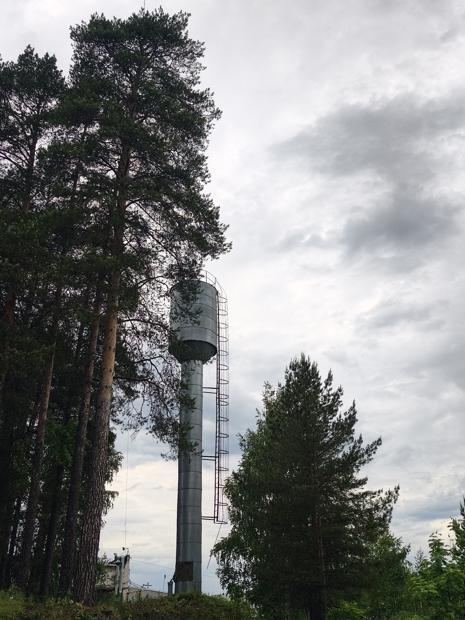 The image shows a water tower in a rural or semi-rural setting. To the left of the tower is a cluster of tall pine trees. To the right of the tower is a slightly shorter pine tree. The background is filled with a cloudy, overcast sky. The base of the tower is surrounded by green foliage. There is no visual confirmation of the location being the city of Noviy, Russia.