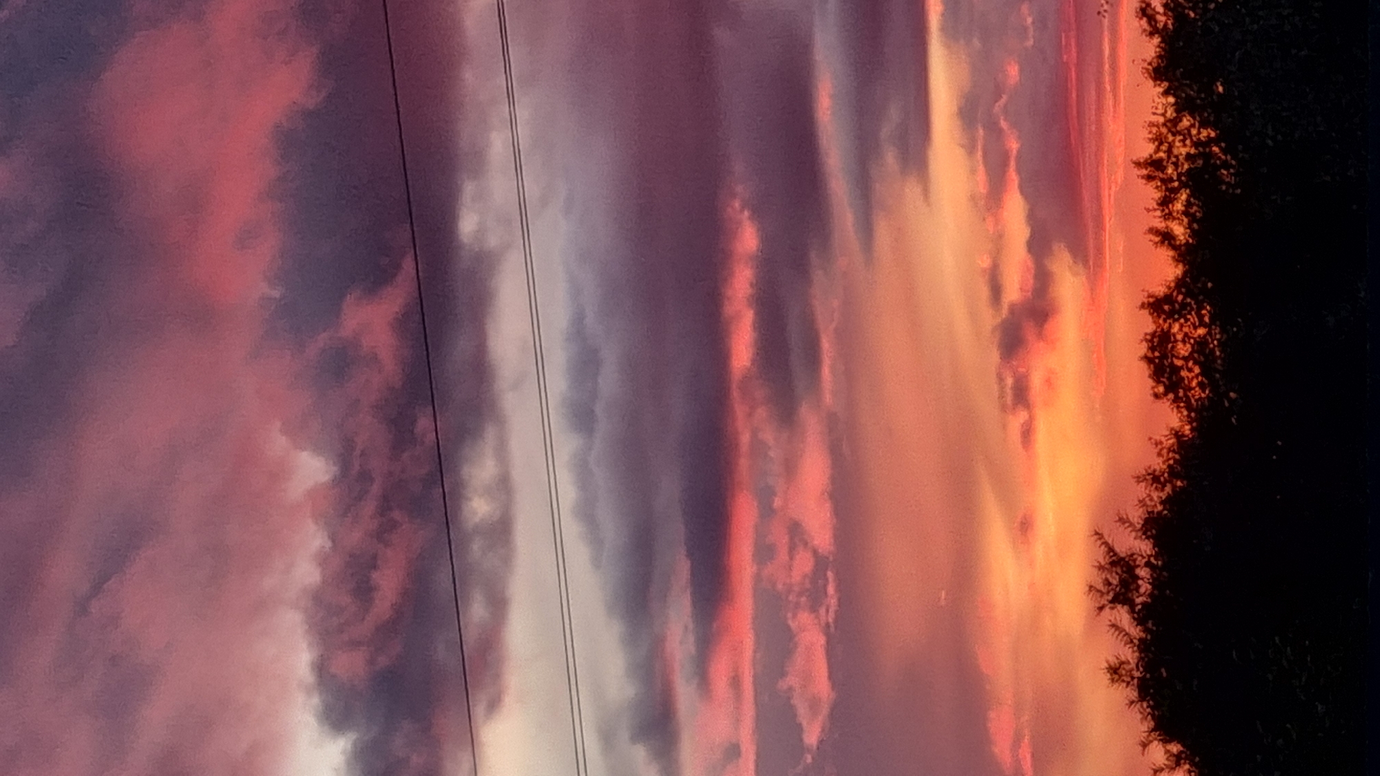 The image captures a vibrant sunset sky over the city of Vysokoe, Russia. Silhouetted against the colorful sky is a line of dark foliage, likely trees and bushes, forming the bottom edge of the frame. Two thin, dark horizontal lines, presumably power lines, stretch across the middle portion of the image, dividing the sky into distinct horizontal bands. The clouds are illuminated with shades of deep purple, pink, and orange, transitioning to a softer yellow and orange hue closer to the horizon. The overall scene depicts a natural landscape at dusk.