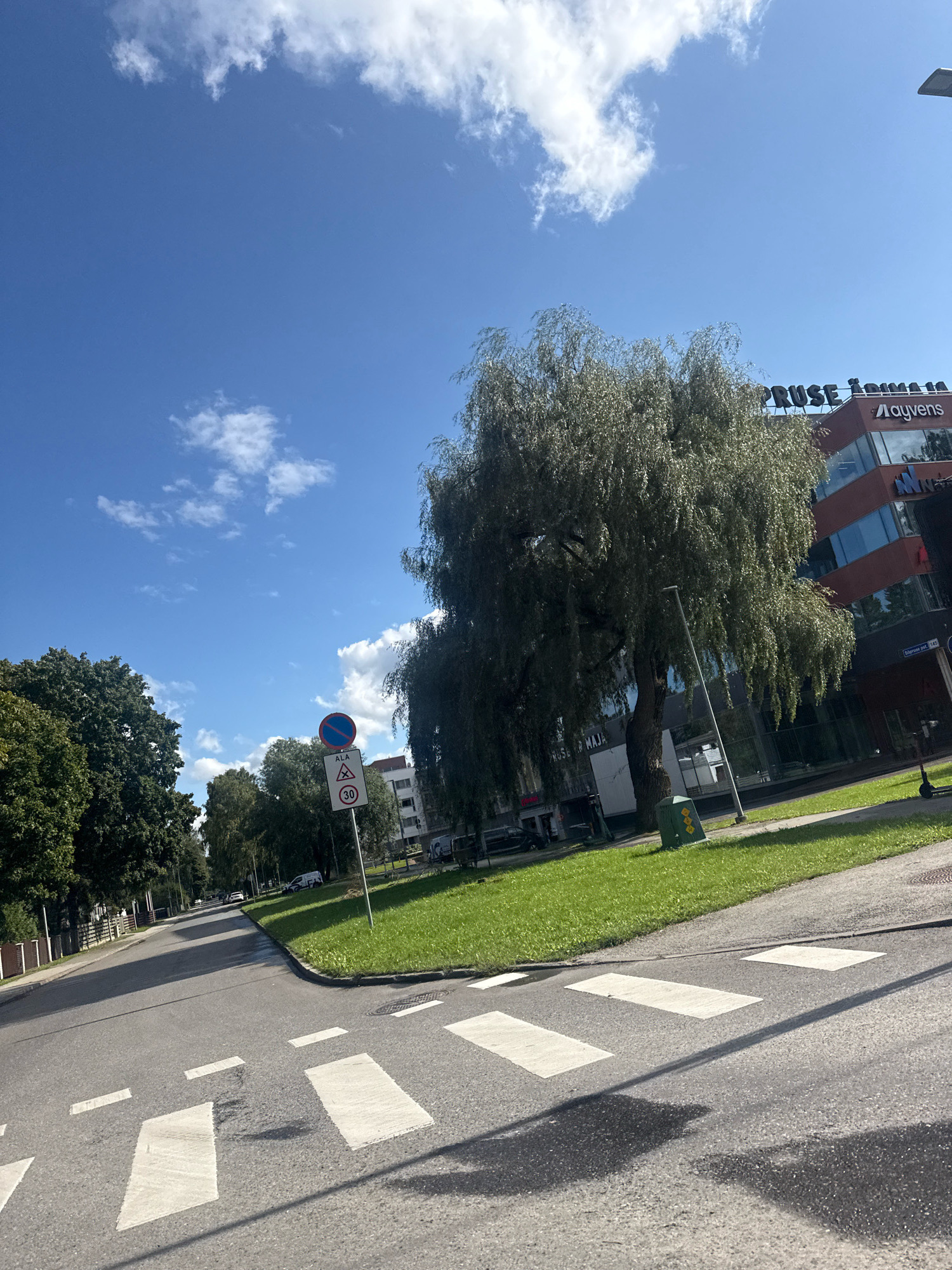 The image captures a sunny day in Tallinn, Estonia, with a clear blue sky and scattered white clouds. In the foreground, a pedestrian crossing is visible on an asphalt road, marked with white stripes. To the right of the road, a patch of green grass slopes upwards, bordered by a sidewalk and a modern building with a reddish-brown facade and glass windows. The building displays signage that reads "RUSE MAJA" and "Auvens". A large tree with drooping branches stands prominently between the road and the building. Further down the road, more trees and buildings can be seen, suggesting an urban environment. Traffic signs are present on the right side of the road, including a speed limit sign indicating "30" and a "no parking" sign. The overall scene depicts a typical streetscape in a city.