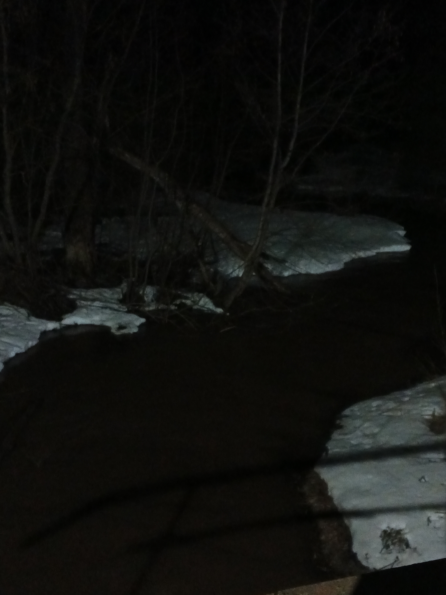 The image shows a dark, snow-covered area, likely a body of water, next to a wooded area. The trees are bare, suggesting winter. The location is suspected to be Rusalevka, Russia, but there are no specific landmarks to confirm. No people are visible. The focus is on the natural environment and the interplay of snow, water, and trees.