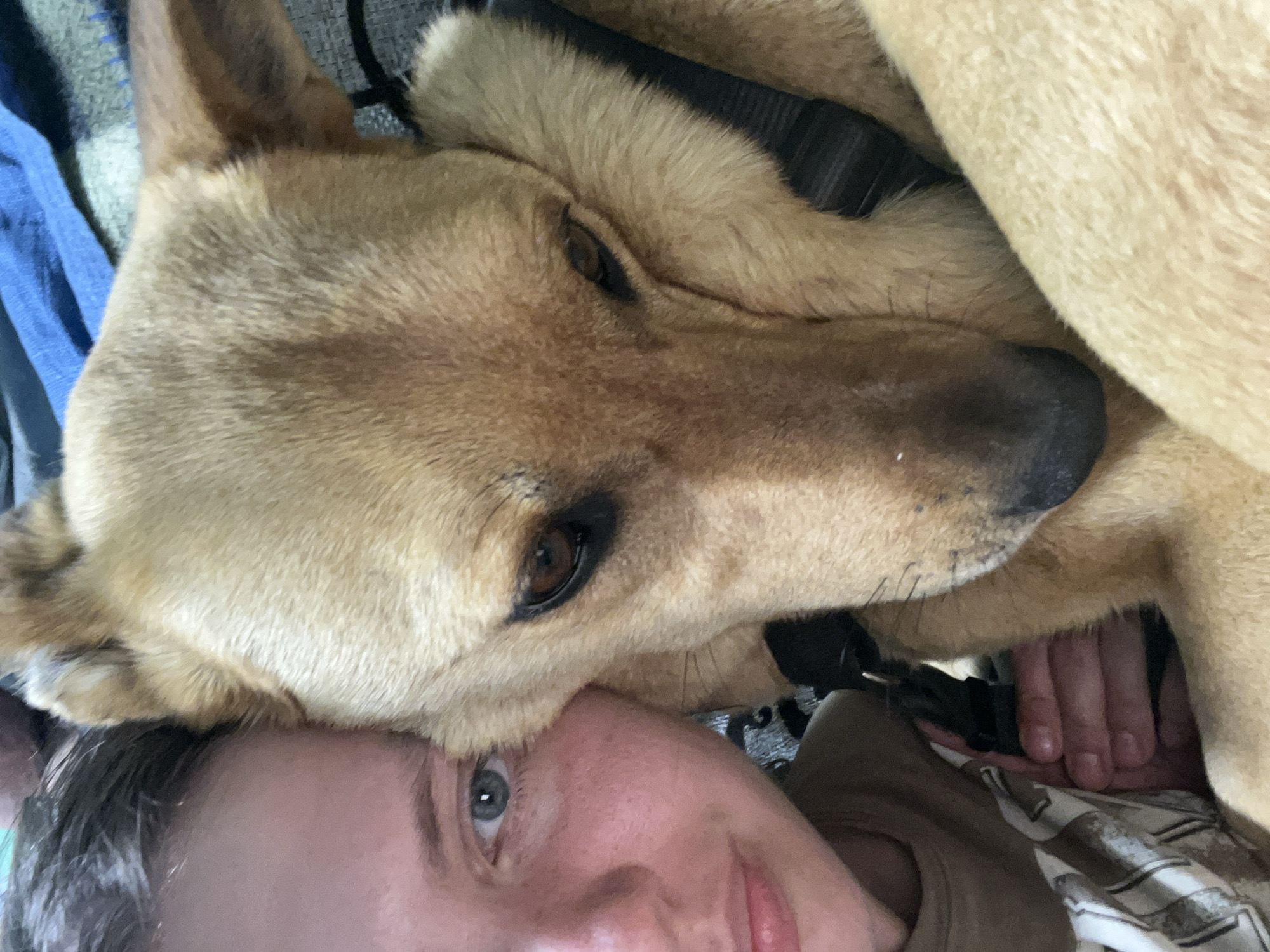 A close-up shot shows a person lying down with their face close to the camera. A tan dog is lying partially on top of the person, its head resting on or near the person's forehead. The dog has a black collar or harness. A hand, presumably belonging to the person, is visible between the dog and the person's body. The background consists of what appears to be fabric and a shirt with a brown and white pattern.
There is no information available in this image to indicate the location in Nizhny Tagil, Russia, or any other specific location.