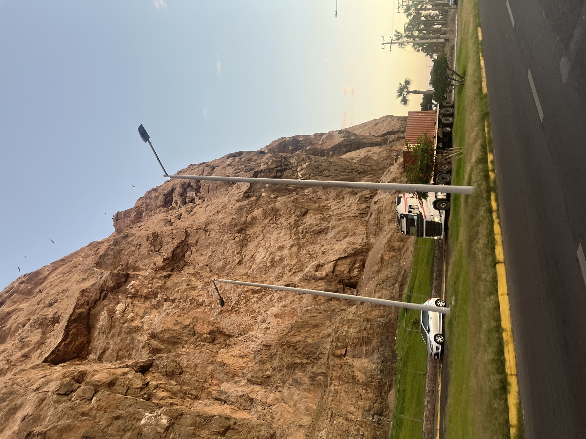The image depicts a roadside scene in Arica, Chile, adjacent to a steep, rocky hillside. A two-lane road with a yellow painted curb runs along the right side of the frame. A narrow strip of green grass separates the road from the base of the hill. A white car and a semi-truck with a cargo container are parked on this strip. Two tall streetlights stand between the road and the hill. The sky is light blue near the horizon and becomes paler higher up, suggesting either early morning or late afternoon light. Palm trees are visible in the distance. Several birds are flying near the top of the hill. The hillside is a mix of brown and grey rock, with visible geological features.