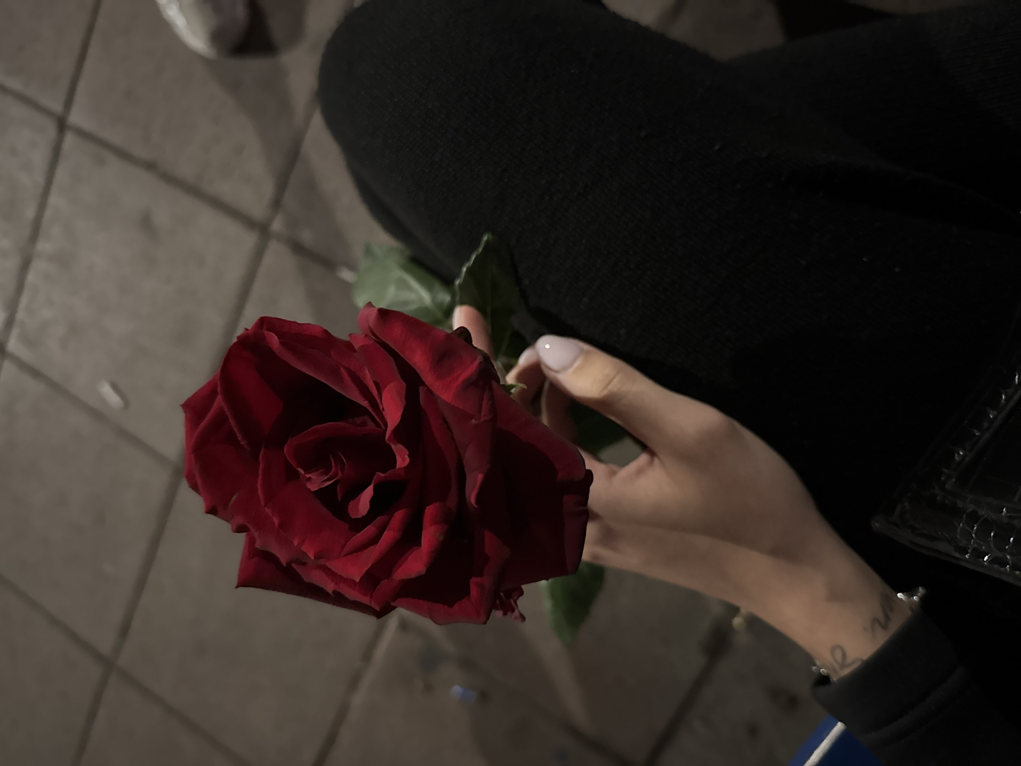 The image shows a close-up of a person holding a red rose. The person is wearing dark clothing. A sidewalk is partially visible in the background. The location cannot be determined from the image, so Sofia, Bulgaria cannot be confirmed.