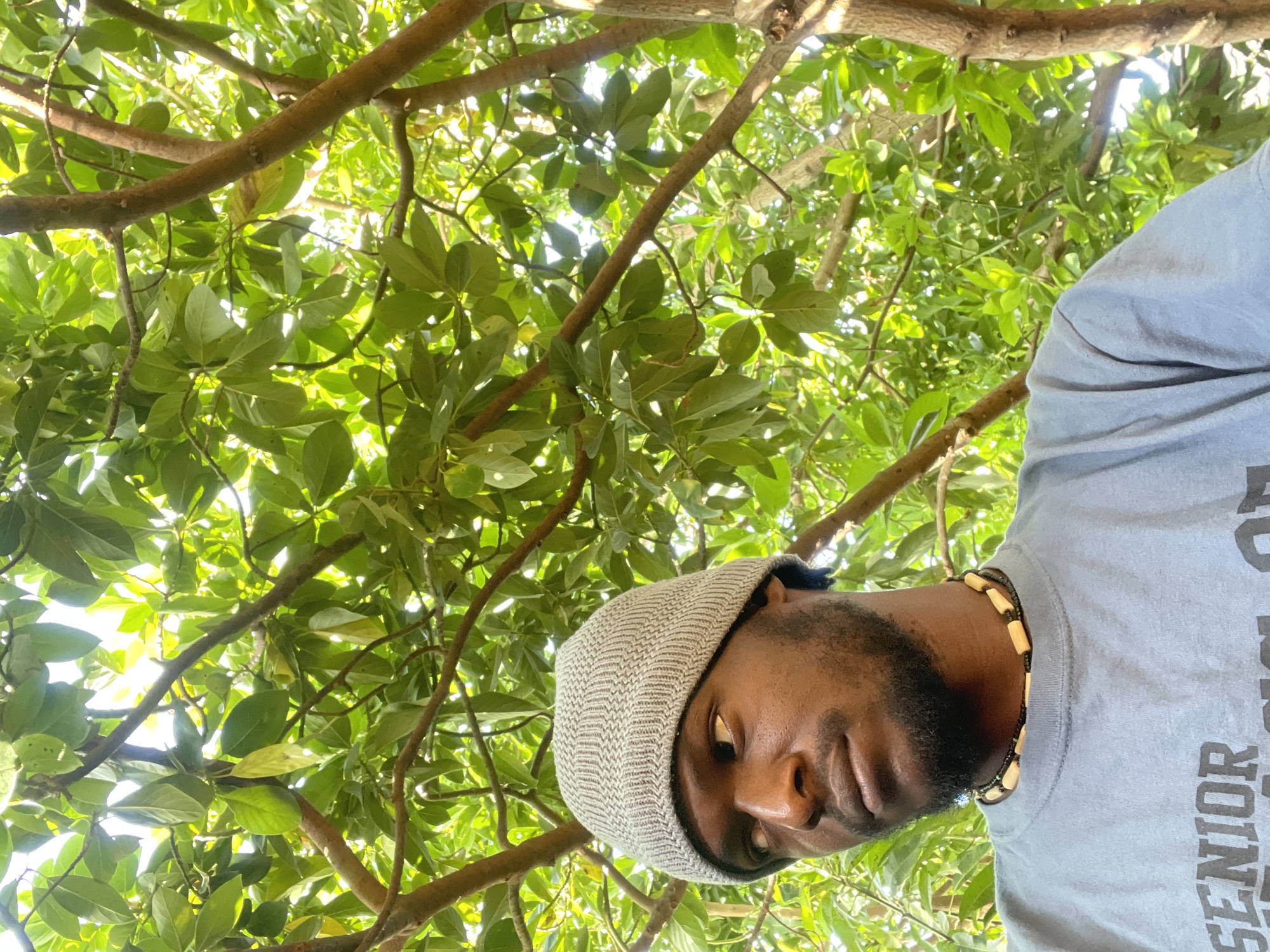 A low-angle, close-up shot reveals a Black man in a grey knitted hat and a light blue shirt that reads "SENIOR", positioned below a dense canopy of green leaves and tree branches. The man has a beard and is wearing a beaded necklace. The location is Jos, Nigeria, suggested by the dense tropical foliage typical of the region.