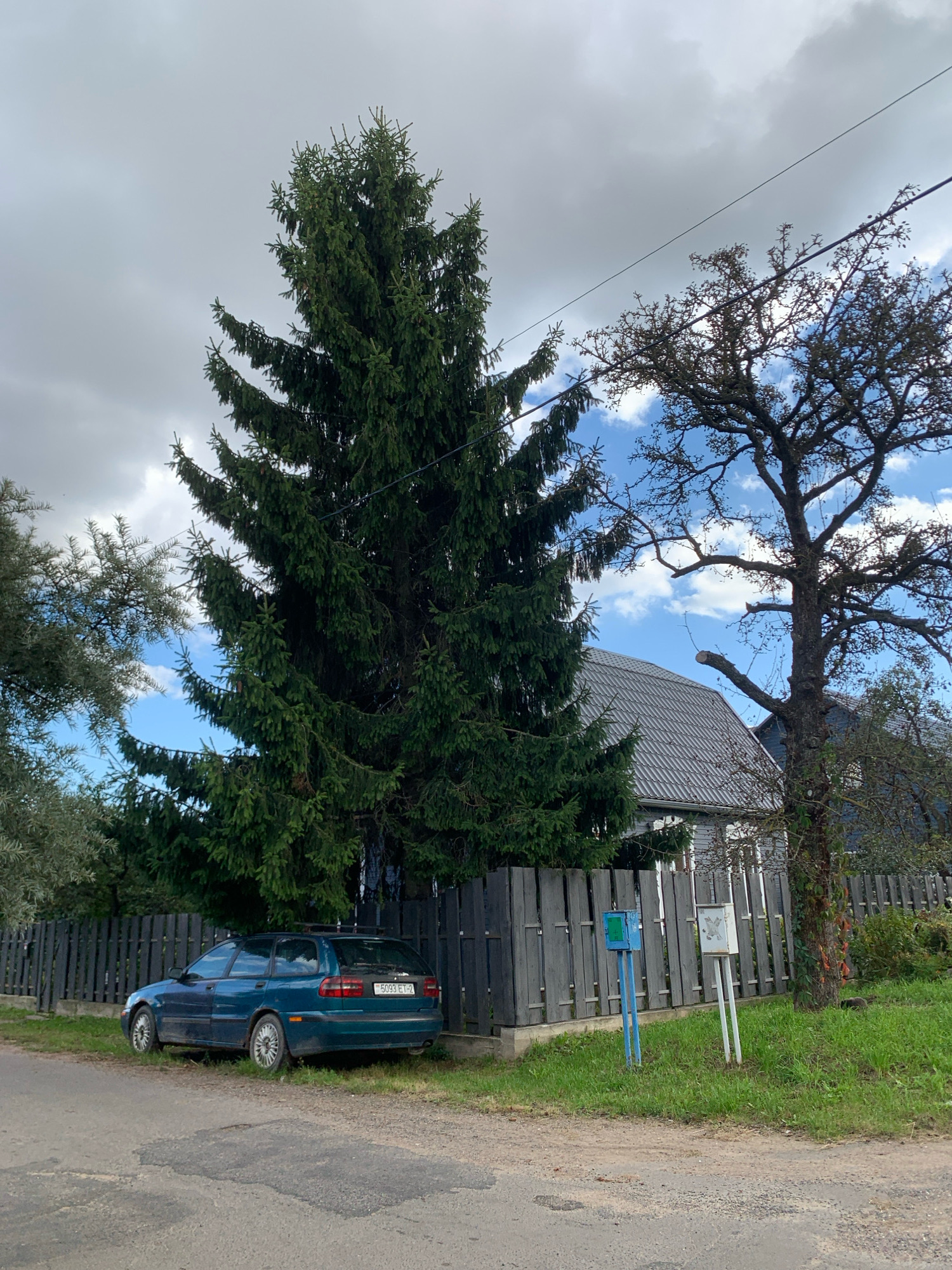 This image captures a quiet residential street scene, likely in Minsk, Belarus, on an overcast day with intermittent patches of blue sky visible. Dominating the left side of the frame is a tall, mature evergreen tree, its branches reaching towards the sky. To its right, a deciduous tree with a bare, gnarled structure stands prominently, its branches silhouetted against the sky.
In the foreground, a dark teal station wagon is parked along the side of a gravel road. The car is facing left and appears to be unoccupied. The license plate is visible, displaying "5093 ET-2". A weathered wooden fence runs along the property line behind the car, separating it from a house with a grey, textured roof. A mailbox, painted blue, stands on a pole next to the fence.
The environment suggests a rural or suburban setting within Minsk, characterized by modest housing, mature trees, and unpaved road surfaces. The overall impression is one of a tranquil, everyday moment, with no visible human activity or unusual events occurring. The weather appears to be mild, with the clouds suggesting potential for light rain or overcast conditions.