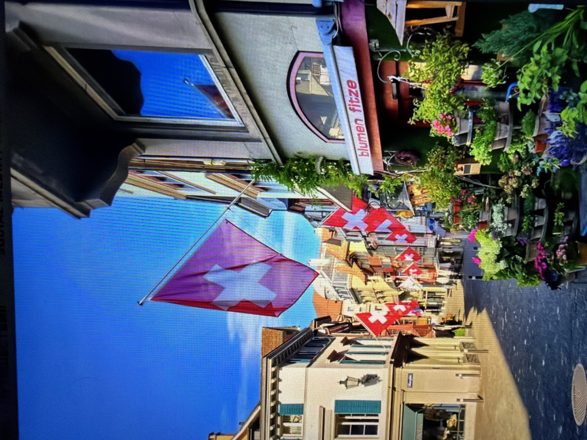 The image depicts a narrow street lined with buildings, adorned with numerous Swiss flags. The architecture suggests an older European city, with buildings featuring tiled roofs and multi-story facades. On the right side of the street, a shop with an awning displaying the words "blumen fitze" is visible, surrounded by an abundance of potted plants and flowers. A person is walking down the street in the distance, casting a shadow on the cobblestone pavement. The sky is a clear, bright blue, indicating a sunny day. The scene evokes a festive and vibrant atmosphere. The location is identified as Falenty Nowe, Poland.