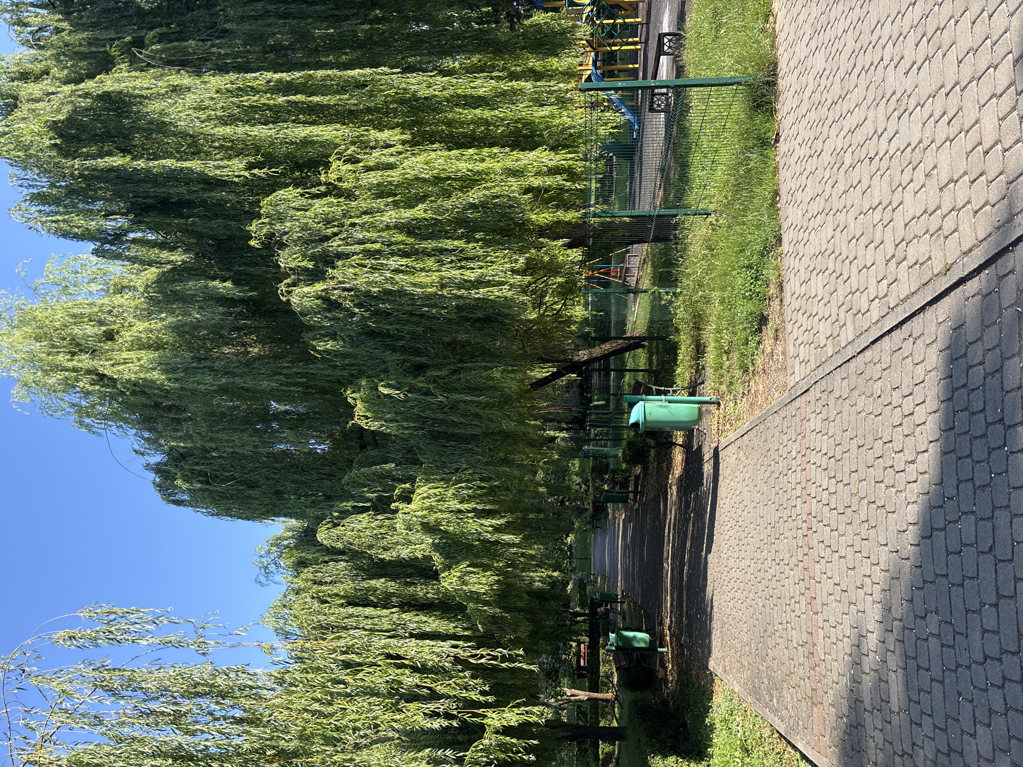 A paved pathway, lined with trees, leads through a park. The trees are weeping willows, with their branches drooping low. On the right side of the pathway is a playground with swings and slides. The sky is clear and blue. There are no people visible in the image.