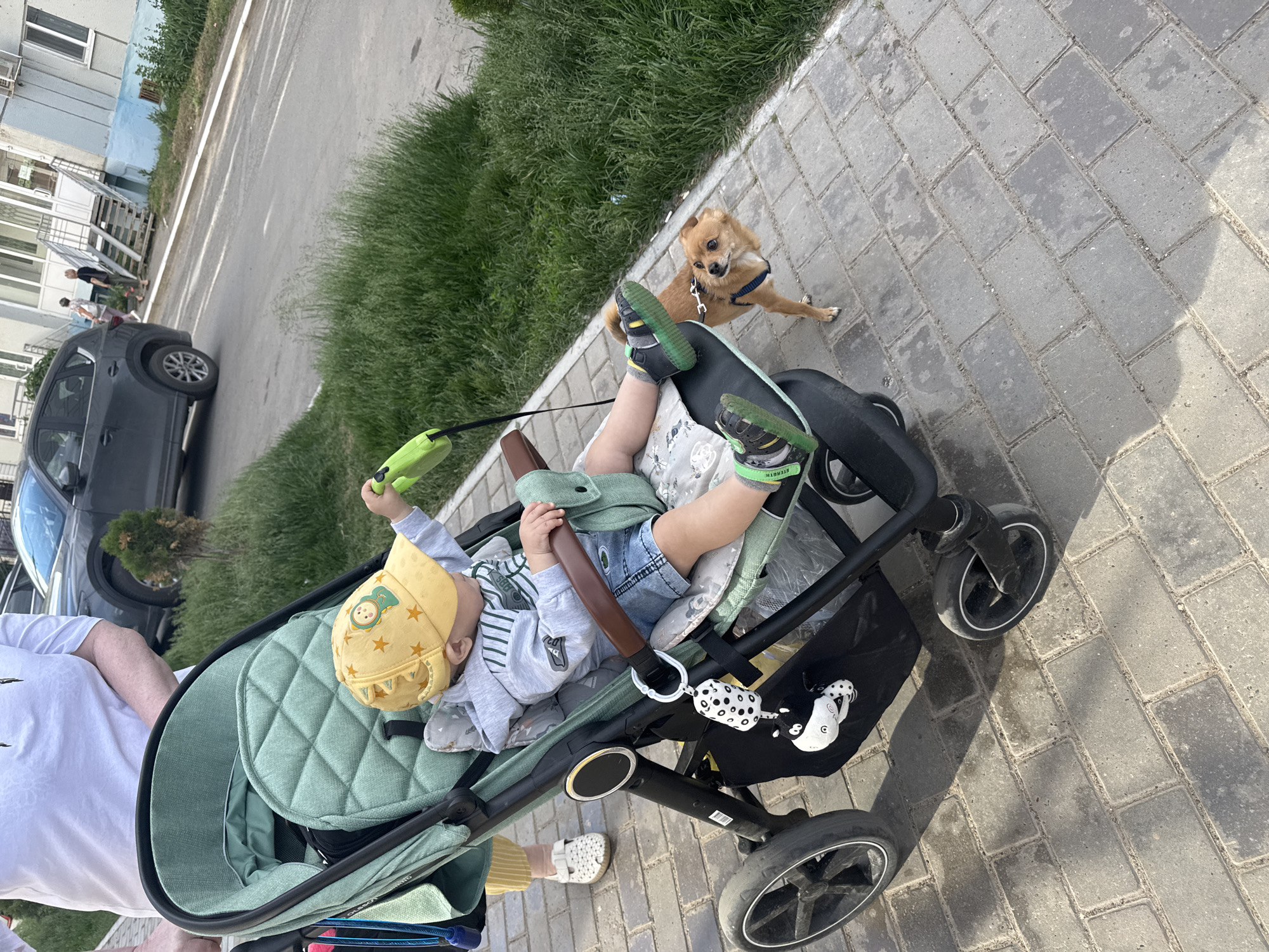 The image depicts a sunny daytime scene on a brick-paved sidewalk in the city of Chaikovsky, Russia. A person, partially visible from the waist down, is pushing a light green stroller. Inside the stroller is a young child wearing a yellow cap with a cartoon character and stars, a grey and white striped long-sleeved shirt, and denim shorts. The child is holding a green leash. Next to the stroller, a small, tan-colored dog with a blue harness is looking up. The background shows a street with a parked dark grey SUV, a building with an external staircase, and lush green grass. The overall environment suggests a residential or public area within the city.