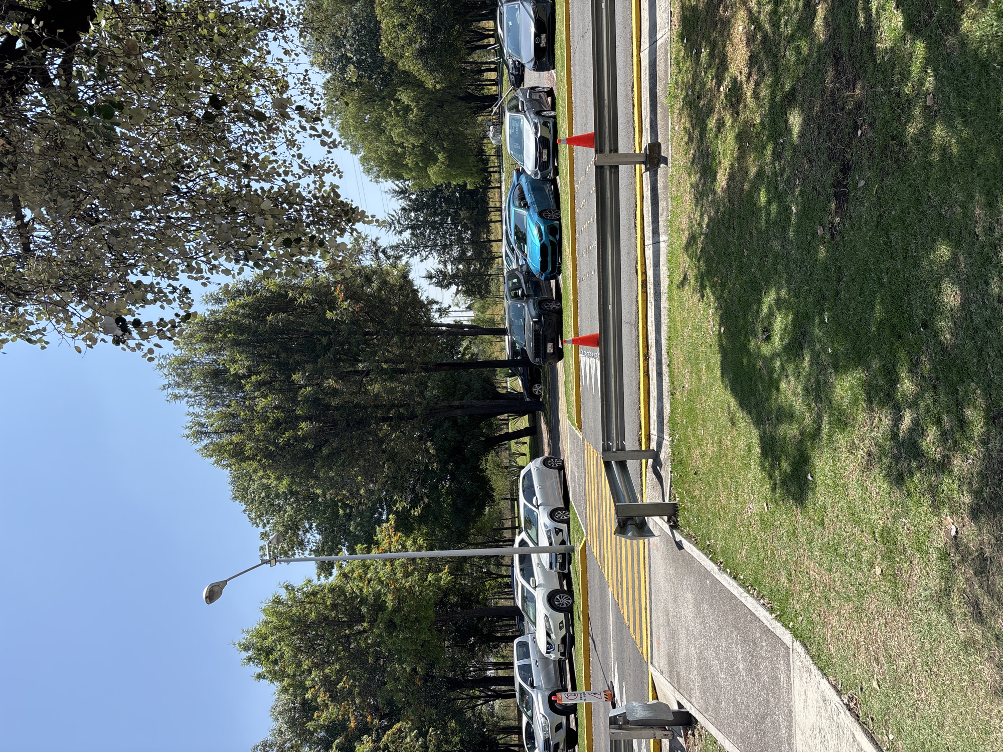 The scene depicts a street in San Andrés Cholula, Mexico lined with parked cars. The vehicles are arranged in a row along the curb. The street is flanked by trees that line both sides, creating a canopy effect. A sidewalk runs parallel to the street, bordered by a patch of grass. A lamppost is visible along the sidewalk. Traffic cones are present near the parked cars, possibly indicating a barrier or restricted area. The sky is clear and blue.