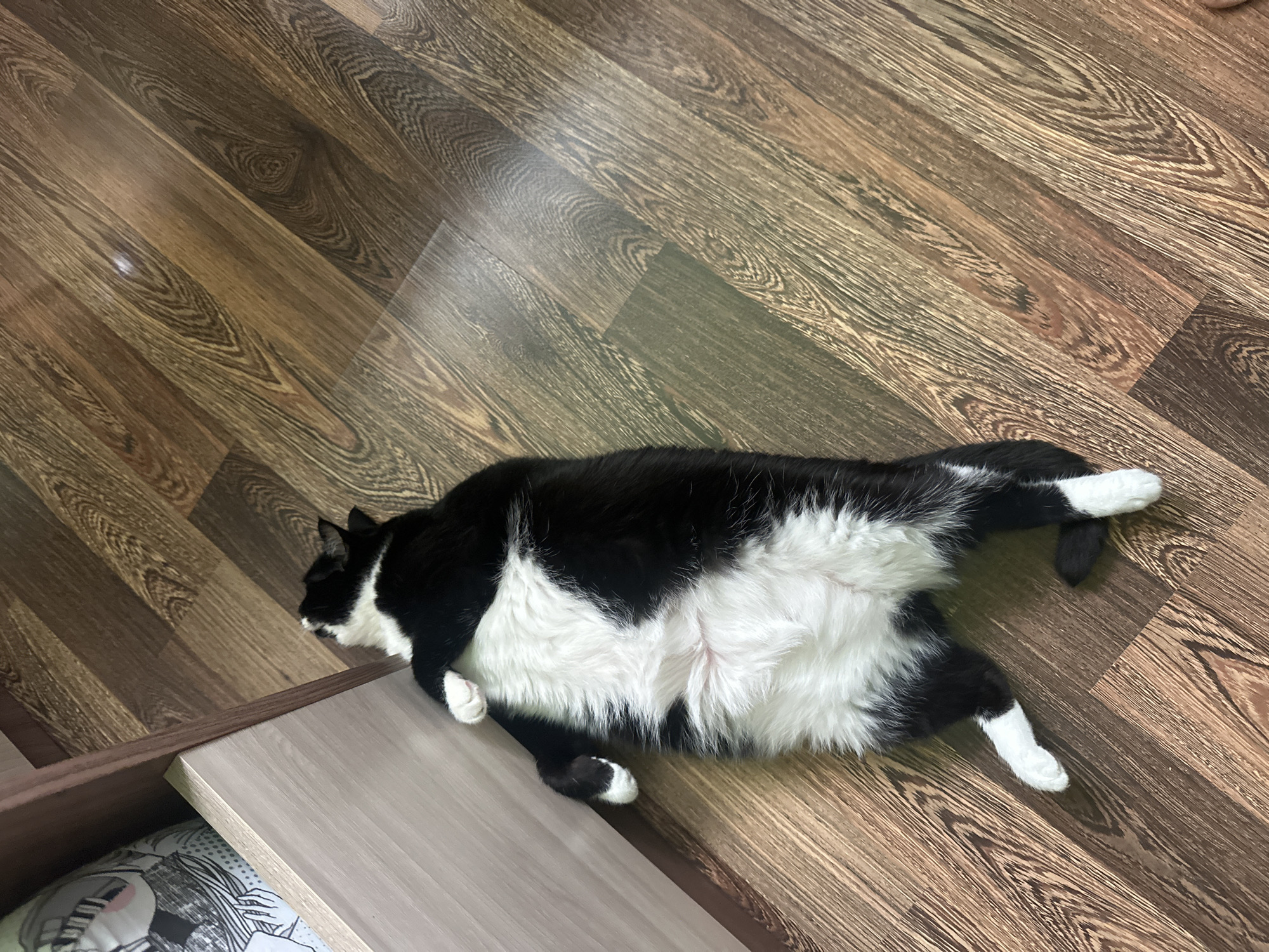A black and white cat is lying on its back on a wooden floor next to a wooden cabinet. The cat is predominantly white on its underside, with black fur on its back, head, and legs. Its paws are white. The cat's eyes are closed, and its body is relaxed. The floor is made of wooden planks with a visible wood grain pattern. The cabinet appears to be made of light-colored wood. The lighting in the room suggests it is daytime, with a shadow cast on the floor from the cabinet. The scene is indoors.