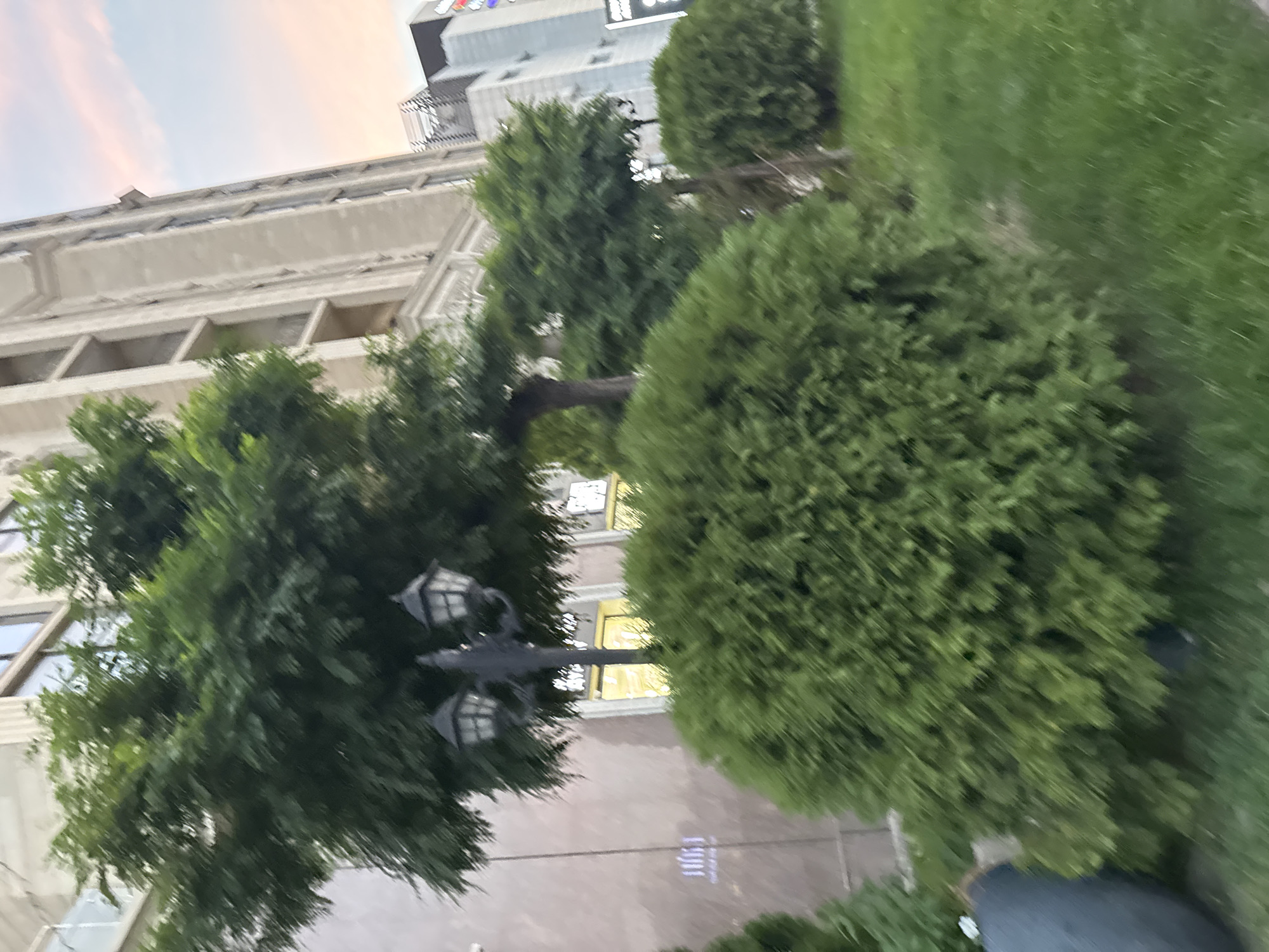 This is a slightly blurry, medium-shot, eye-level, outdoor photograph taken in Bishkek City, Kyrgyzstan. In the foreground, a large, rounded evergreen bush is prominently featured. To the left of the bush, a dark, rounded object, possibly a planter or a piece of outdoor furniture, is partially visible. Behind the bush and to the left, a black lamppost with two lanterns stands out. In the background, a tall, light-colored building with multiple floors and visible windows dominates the scene. To the right of the building, another, taller, more modern building can be seen, with some colorful signage. The sky above shows a soft gradient of colors, suggesting it might be sunset or sunrise. The ground is covered in green grass. The overall impression is a street scene with landscaping and modern architecture.