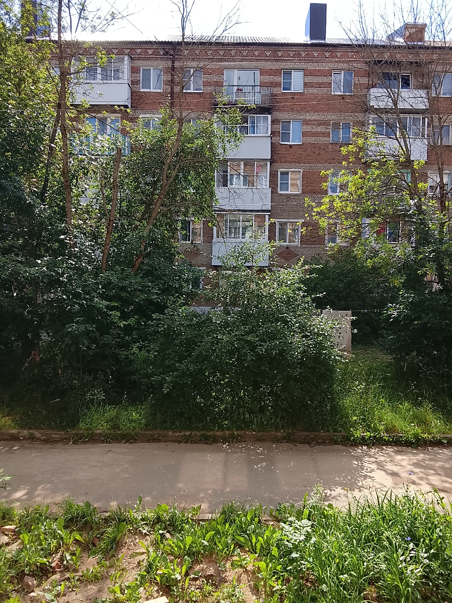 This media file depicts the exterior of a multi-story brick apartment building on a sunny day. The building has several floors with numerous windows and balconies, some of which are enclosed. Lush green trees and bushes partially obscure the building, suggesting a residential area with some overgrowth. A paved path runs in front of the greenery, with more vegetation and what appears to be a small garden bed in the foreground. The sunlight casts dappled shadows on the path and the ground. The scene appears calm and ordinary, likely capturing a moment in a suburban or urban residential setting. There is no visible text in the image.