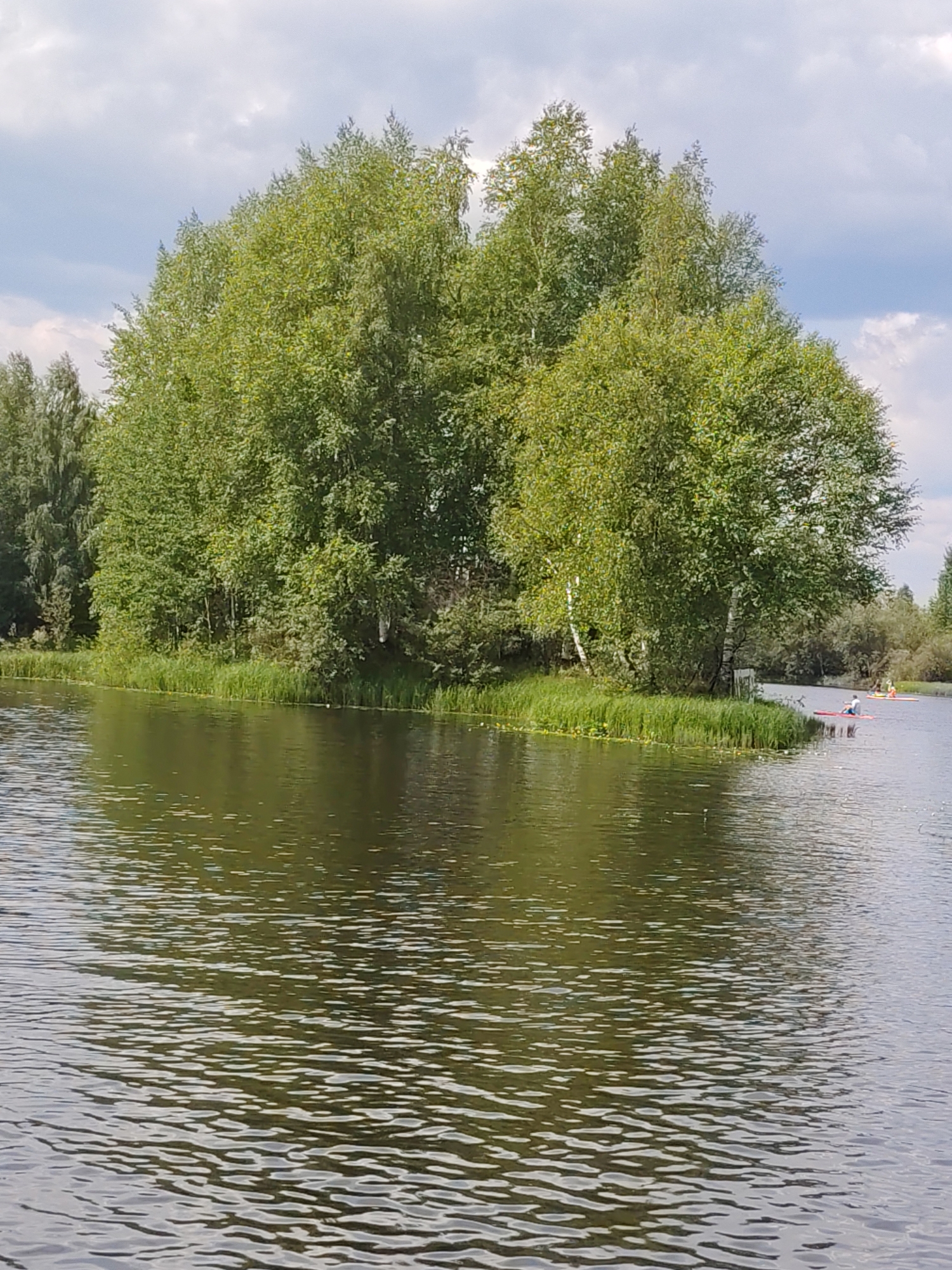The image depicts a body of water, likely a river or lake, with a lush, tree-covered island in the mid-ground. The water's surface is rippled and reflects the green foliage and the overcast sky. On the right side of the image, a few individuals are visible in red kayaks on the water. The trees on the island are a mix of deciduous species, with dense green leaves. The shoreline of the island is covered in tall green grass. The background shows more trees and vegetation, suggesting a natural, semi-wild environment. The sky is cloudy with patches of blue visible. The location is identified as the city of Vylytdor, Russia.
