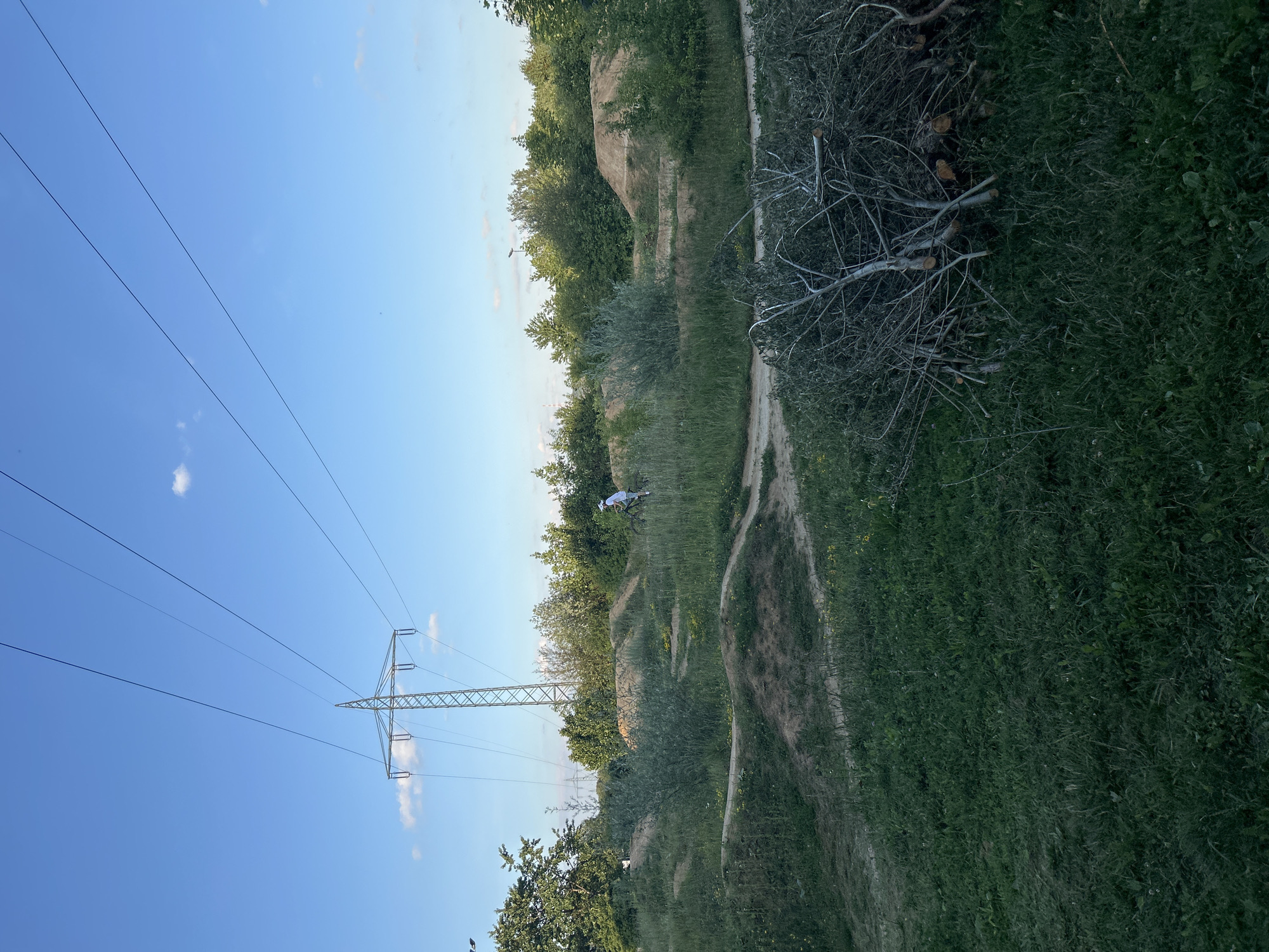 The image depicts an outdoor scene in Ergolding, Germany, featuring a dirt bike park or obstacle course with various berms and jumps. A person wearing a white helmet and a light-colored shirt is riding a bicycle on one of the dirt paths. The background is filled with lush green trees and vegetation, with a bright blue sky overhead. A large electricity pylon and high-voltage power lines are prominently visible in the upper left portion of the image, with a pile of cut branches and twigs in the lower right foreground. The area appears to be a park or a designated recreational space.