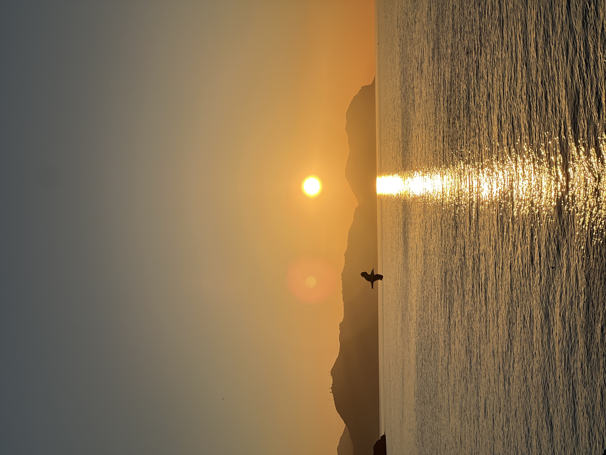 The image depicts a sunset over a body of water, likely the sea. In the foreground, the water is calm with gentle ripples, reflecting the golden light of the setting sun. A narrow strip of land with hills, silhouetted against the bright sky, forms the horizon. The sky is a gradient of warm oranges and yellows near the horizon, transitioning to a cooler grey at the top. A solitary bird is in flight over the water, silhouetted against the sky. The scene appears to be a coastal landscape. The location in Bagheria, Italy, suggests it is a view from the coast of Sicily, known for its picturesque sunsets and marine environments.