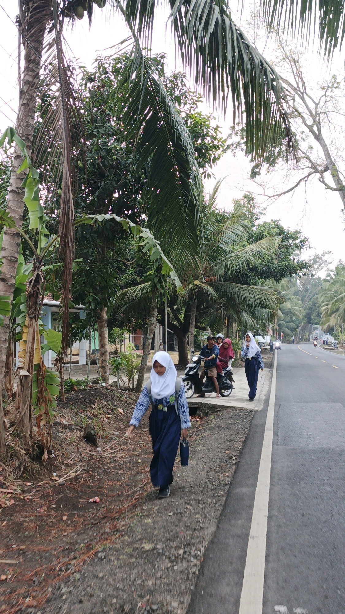 In Sukaresik, Indonesia, a street scene unfolds with lush vegetation and a paved road. A young woman wearing a white hijab and a dark blue skirt and patterned blue and white long-sleeved shirt walks on the dirt path beside the road. She carries a dark bag in her right hand. Further down the road, another young woman in a white hijab and a blue dress walks towards the viewer. Behind her, three individuals, two males and one female, are seated on a black motorcycle. The female in the back wears a maroon hijab. The road is lined with palm trees, banana trees, and other dense green foliage. A light blue building with white trim is visible behind the trees on the left. Cars and motorcycles are sparsely present on the road in the background. The sky is overcast.